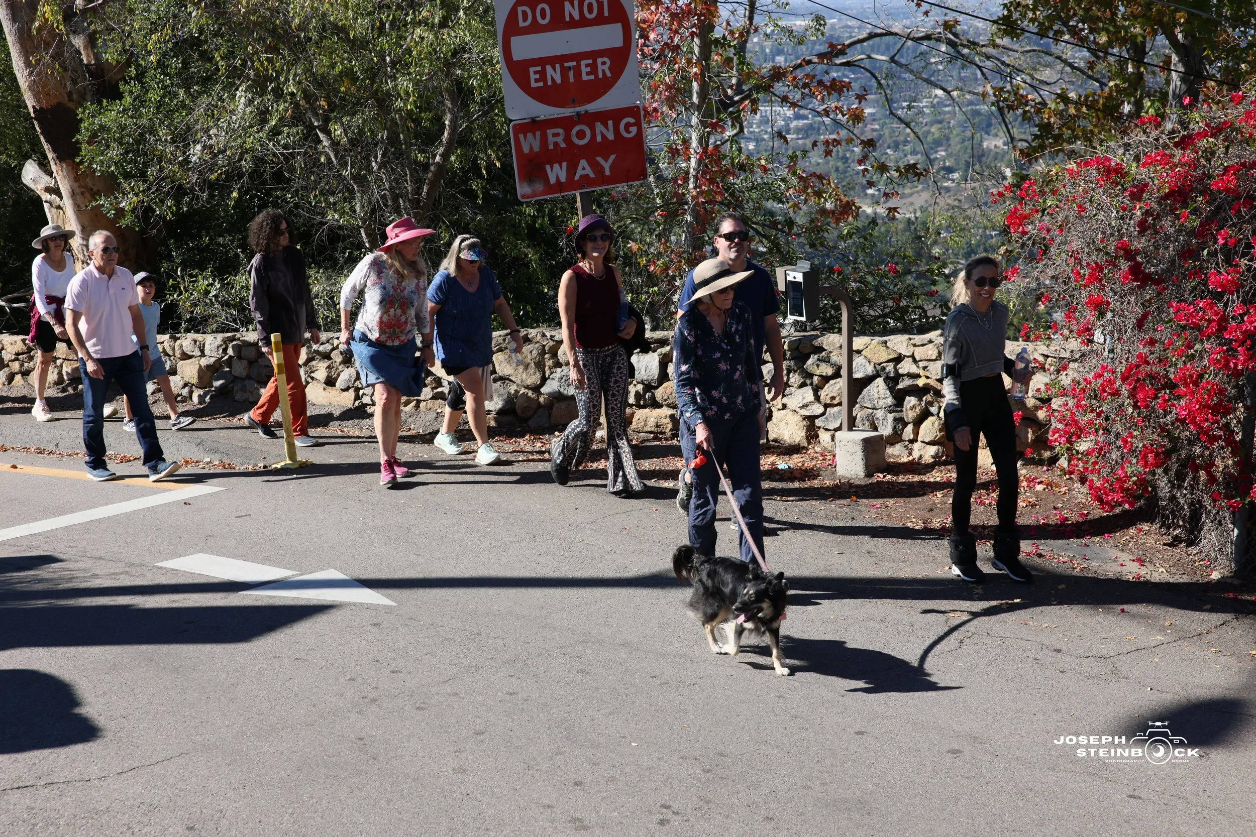 A group of people walking on a sidewalk, with some wearing hats and sunglasses, and a woman in front walking her dog. Two signs reading 'Do Not Enter' and 'Wrong Way' are visible above them. The scene is outdoors with trees and flowers in the backgro