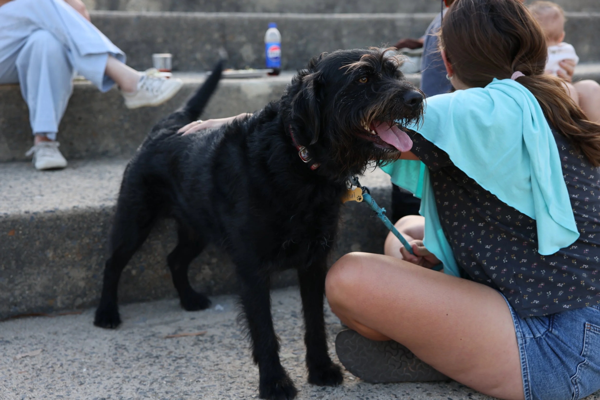 Woman sitting on ground with a black dog, people in background, steps, and items on the steps.