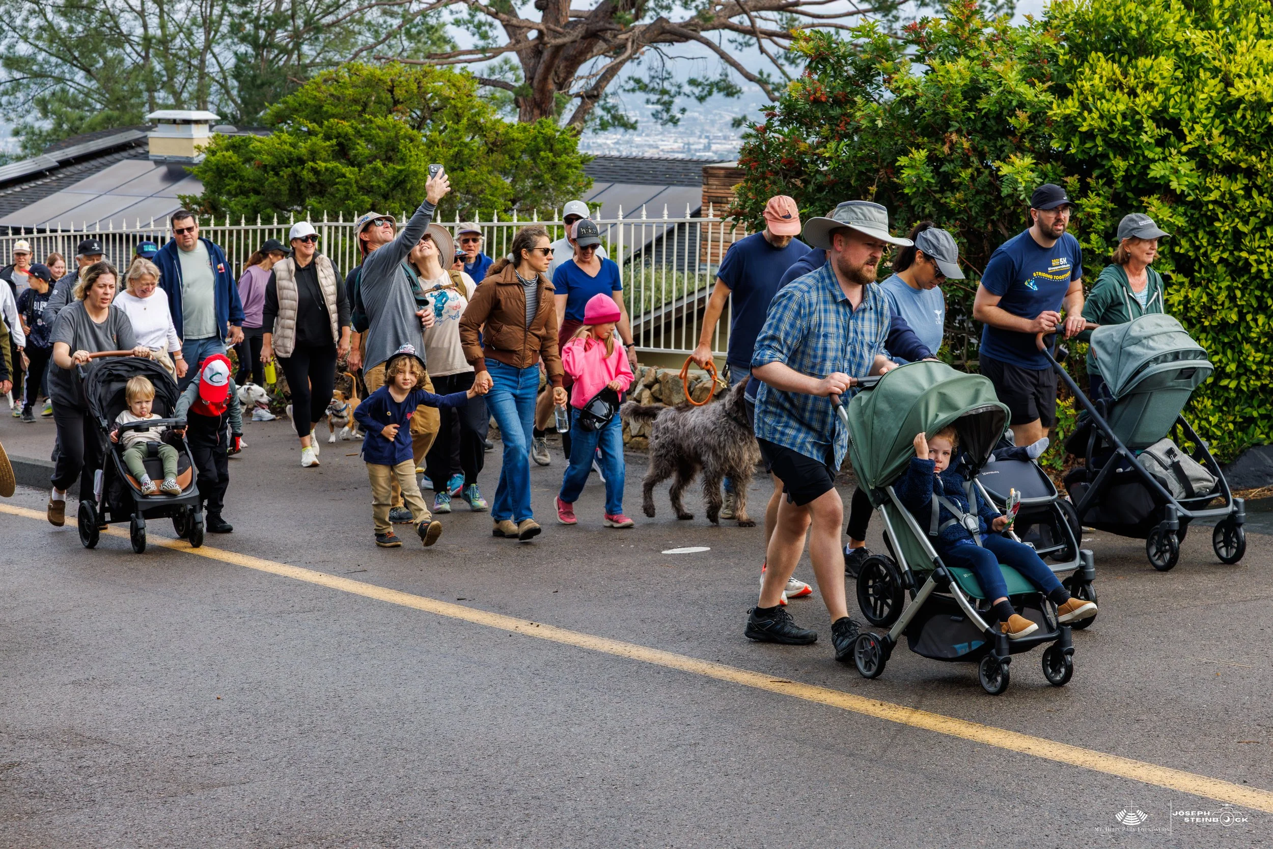 Group of people walking outdoors on a cloudy day, some pushing strollers with children, some holding dogs on leashes, and some taking photos.