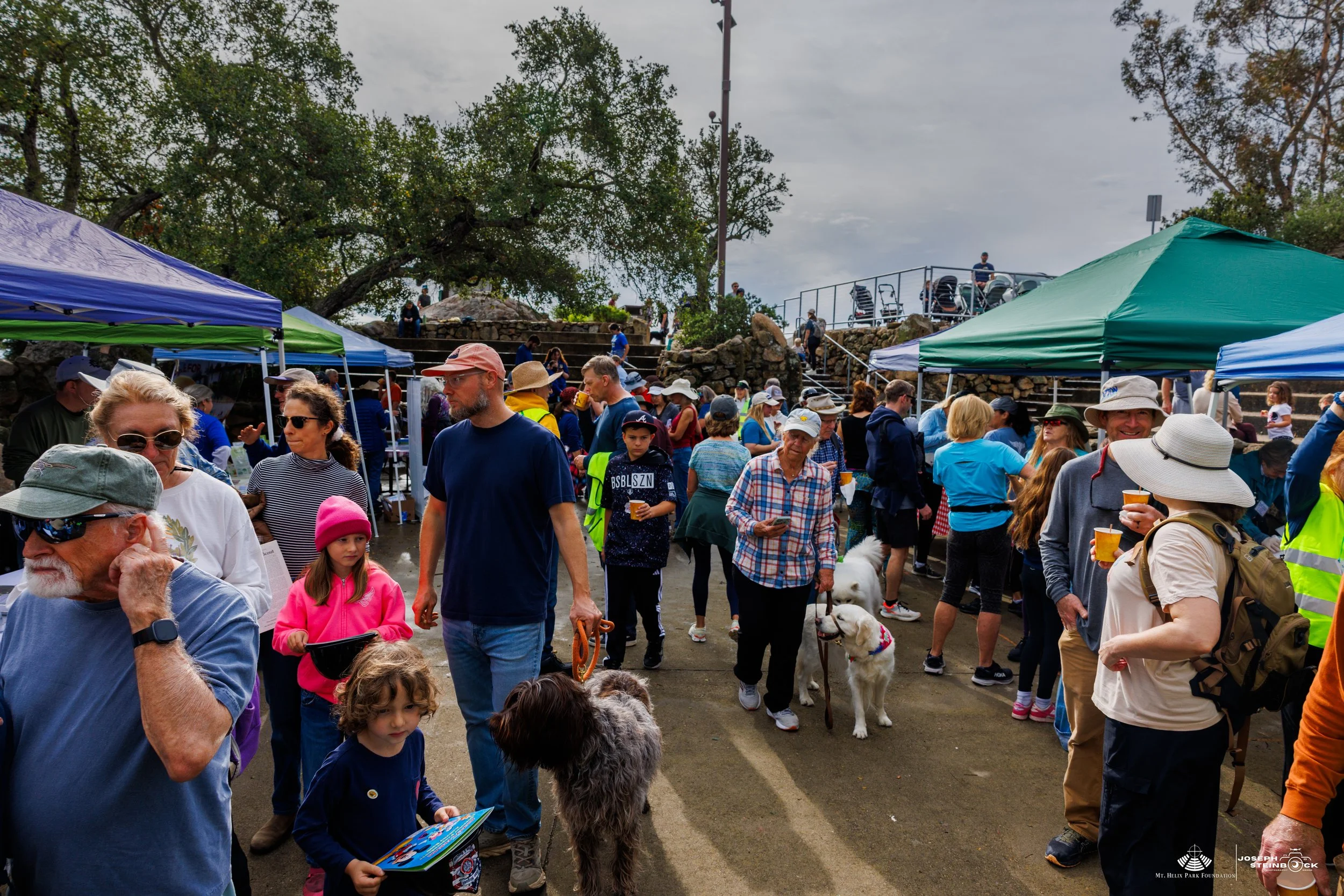 People attending an outdoor event with tents, some holding drinks, accompanied by dogs, under a cloudy sky.
