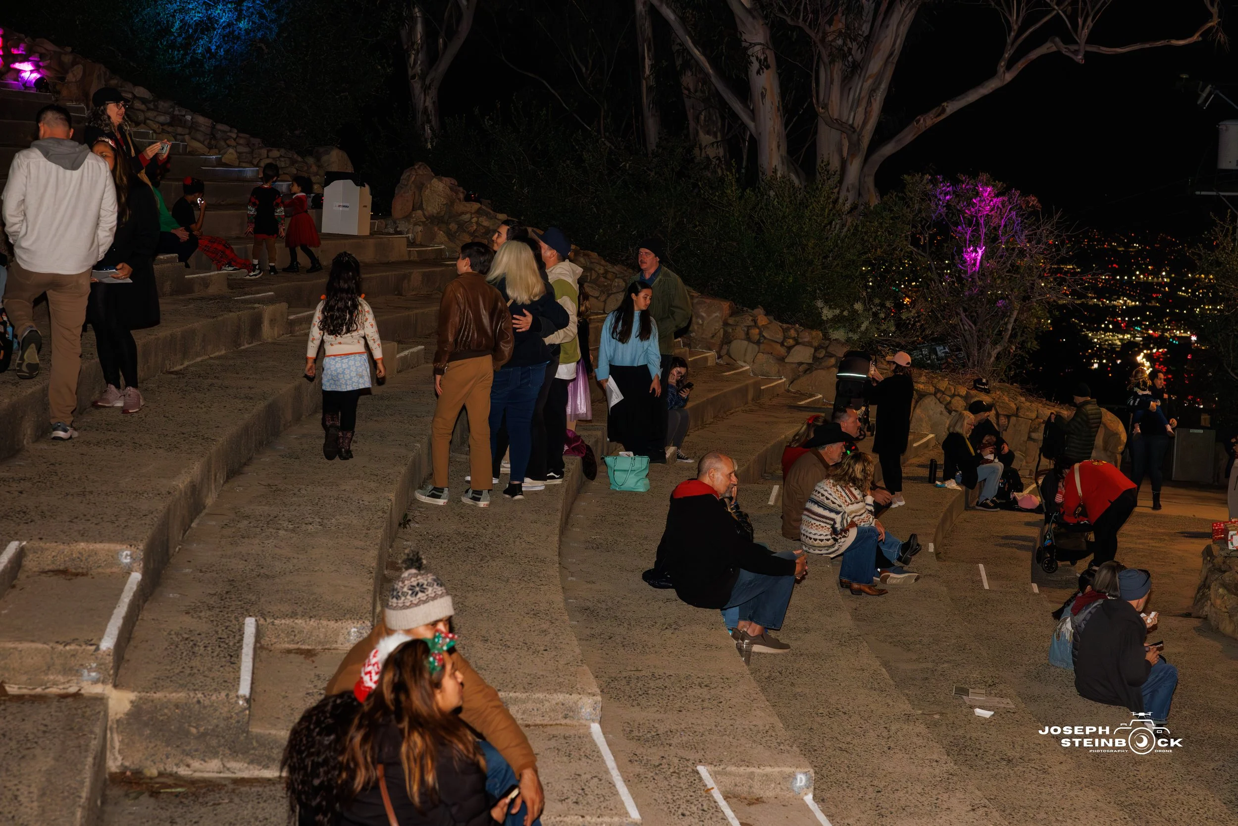 People gathered on outdoor concrete steps at night, with a cityscape and a purple-lit tree in the background.