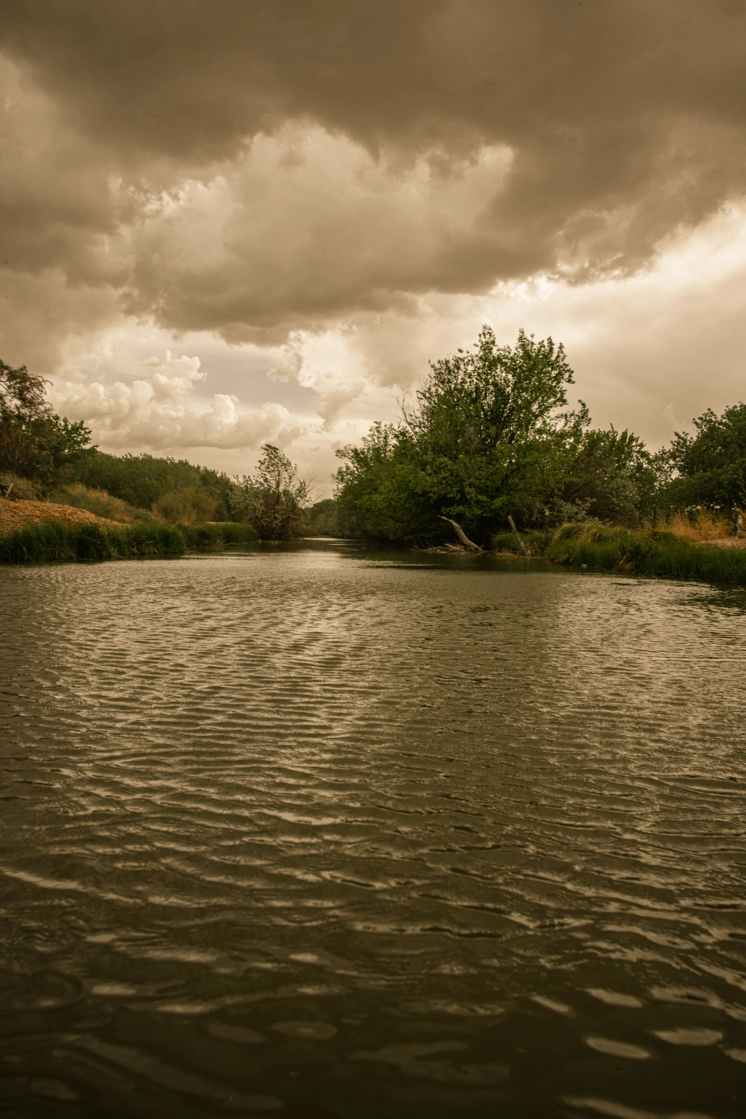 A river with rippling water under a cloudy, overcast sky, surrounded by green trees and grasses.