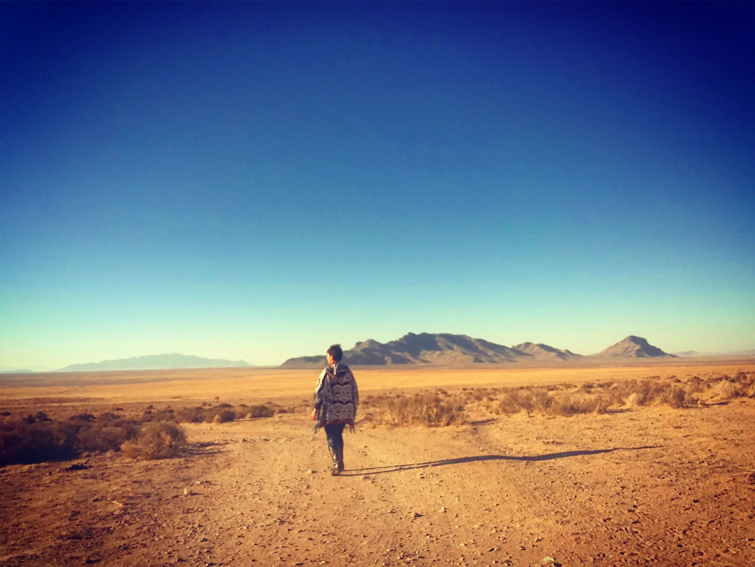 The Desert Within