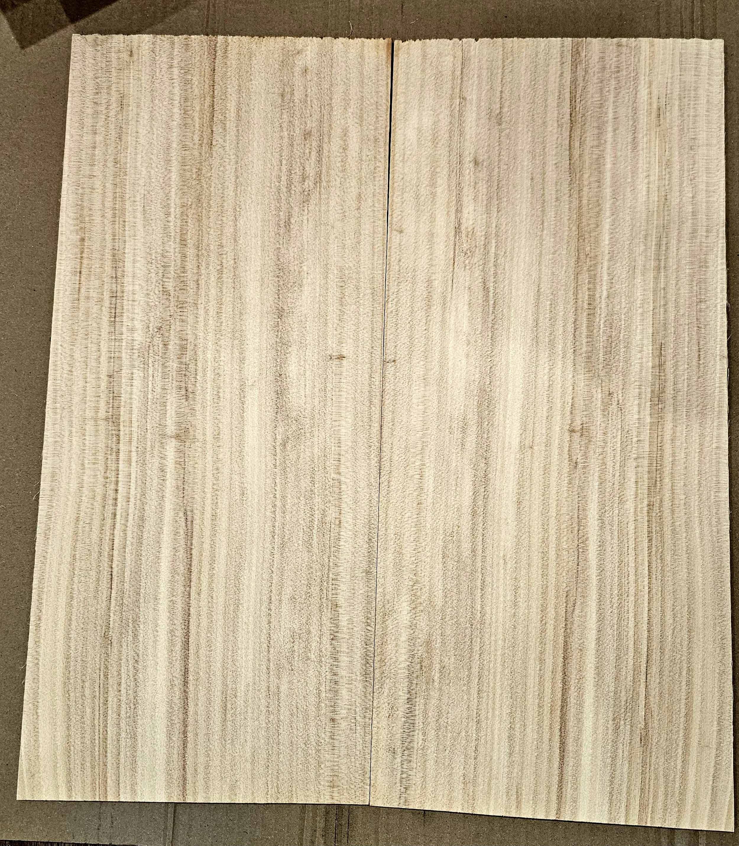 1000008204.jpg
