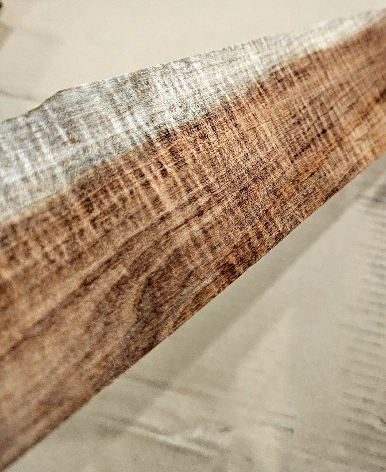 Fiddleback Blackwood fretboard #1