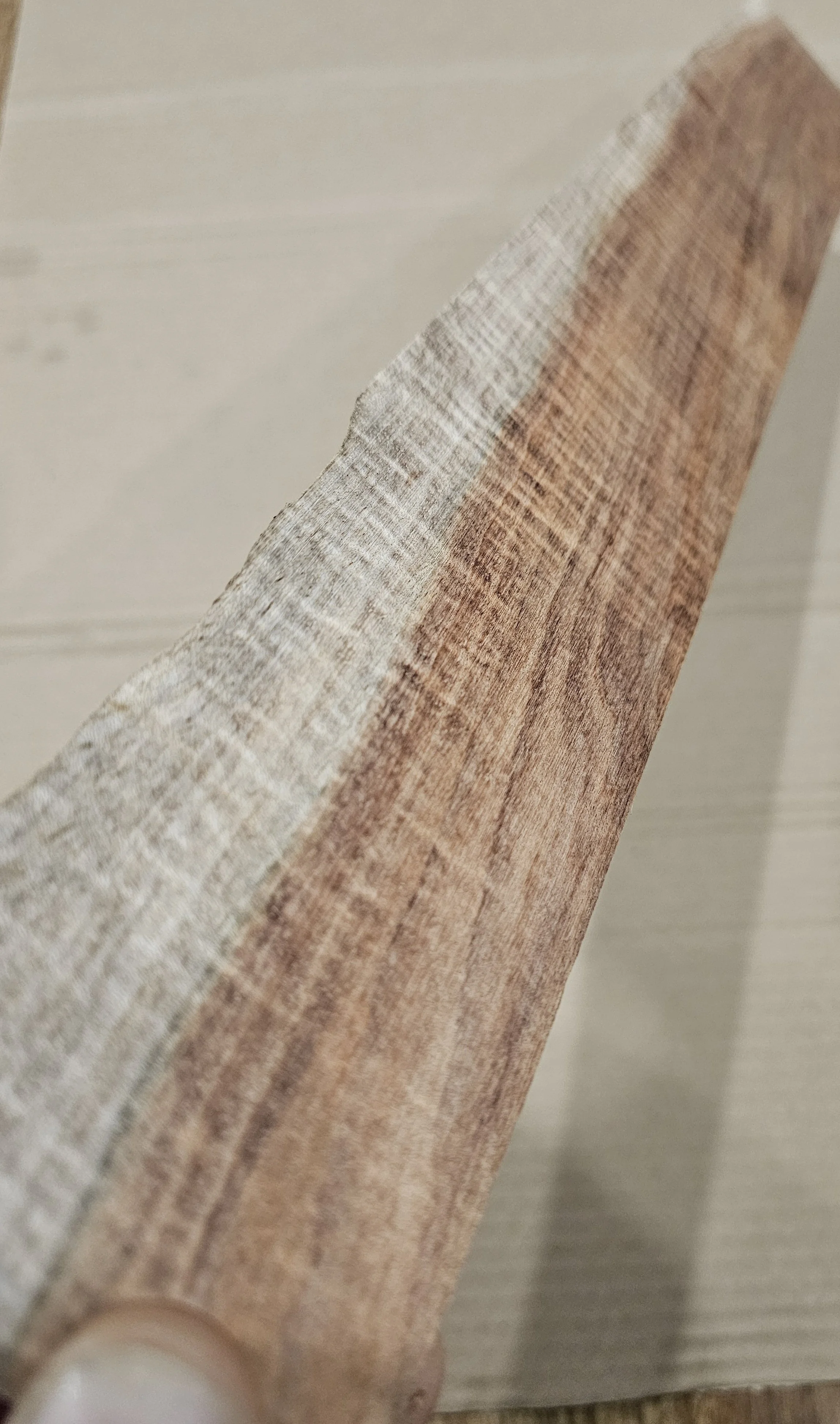 Fiddleback Blackwood fretboard #2