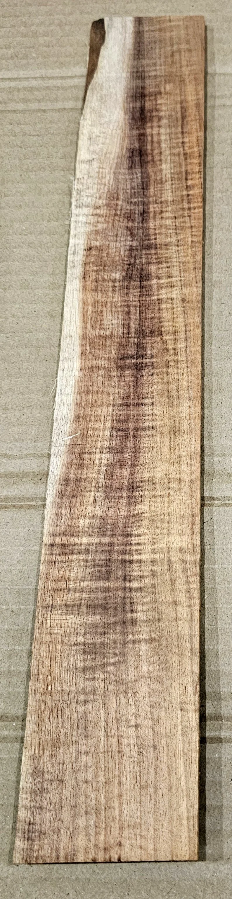 20260706_023437.jpg