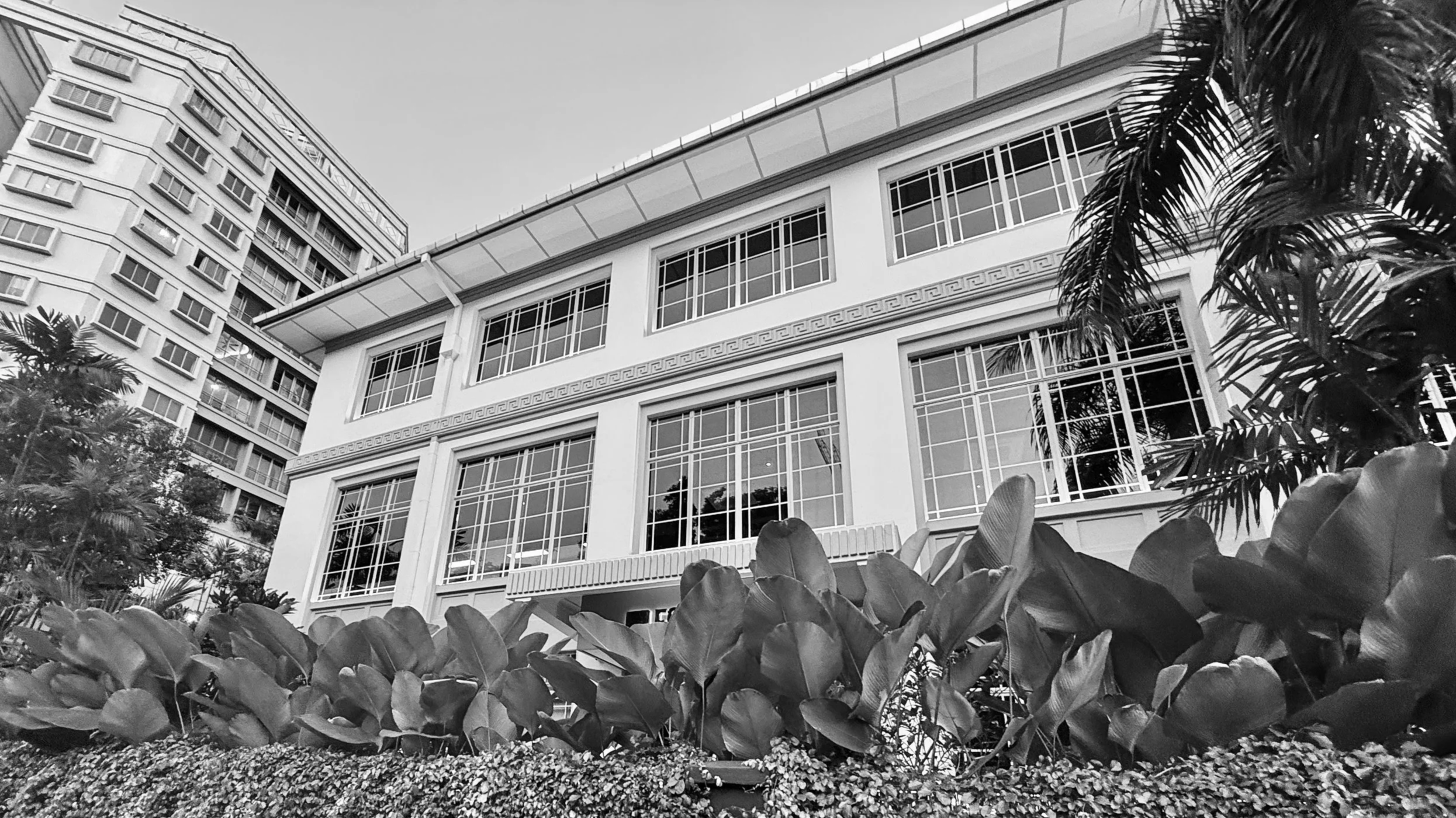A black and white photo of a modern multi-story building with large windows, surrounded by palm trees and plants.