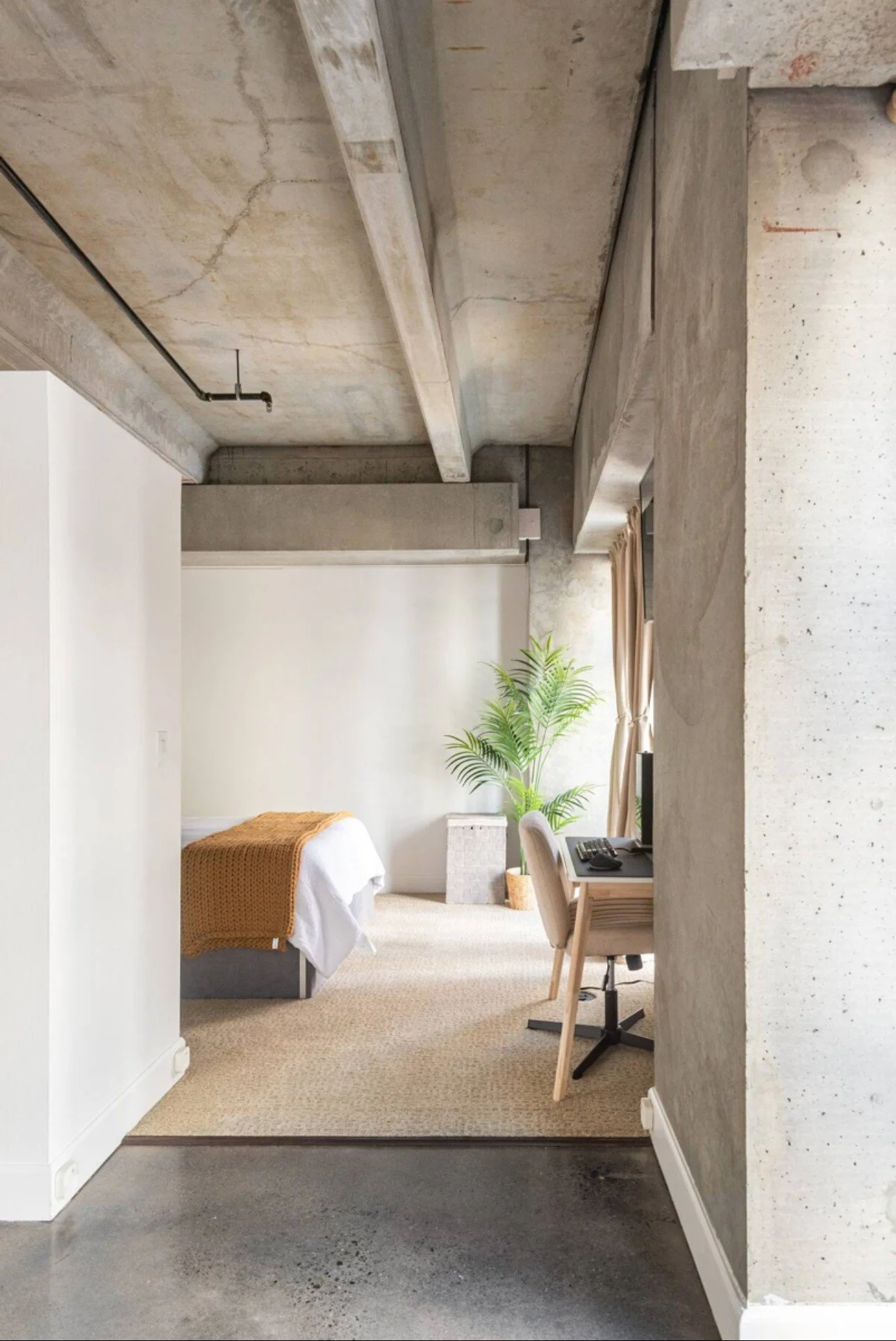 Modern bedroom with a bed, large green plant, desk with a chair, and an industrial-style ceiling and wall accents.