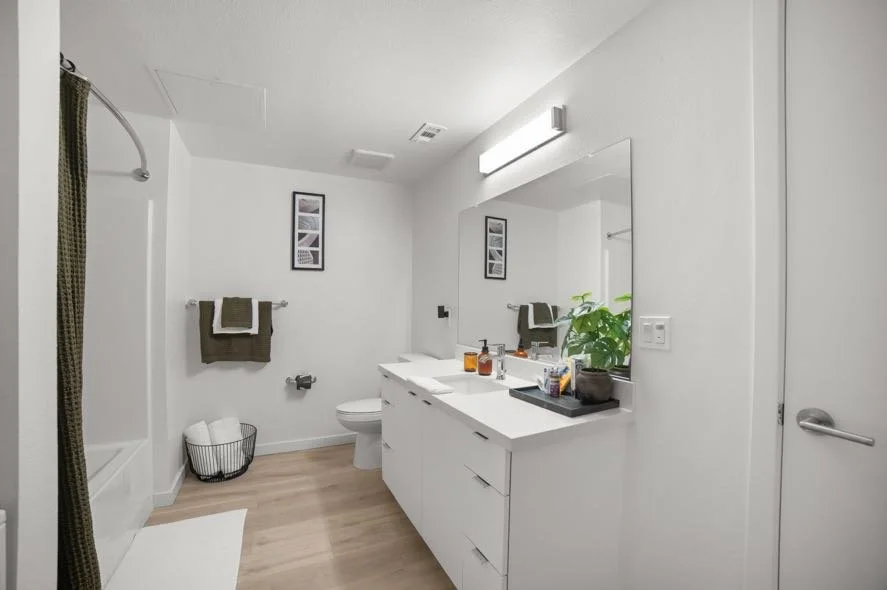 Modern bathroom with white vanity, large mirror, green plant, framed artwork, and a shower with a curtain.