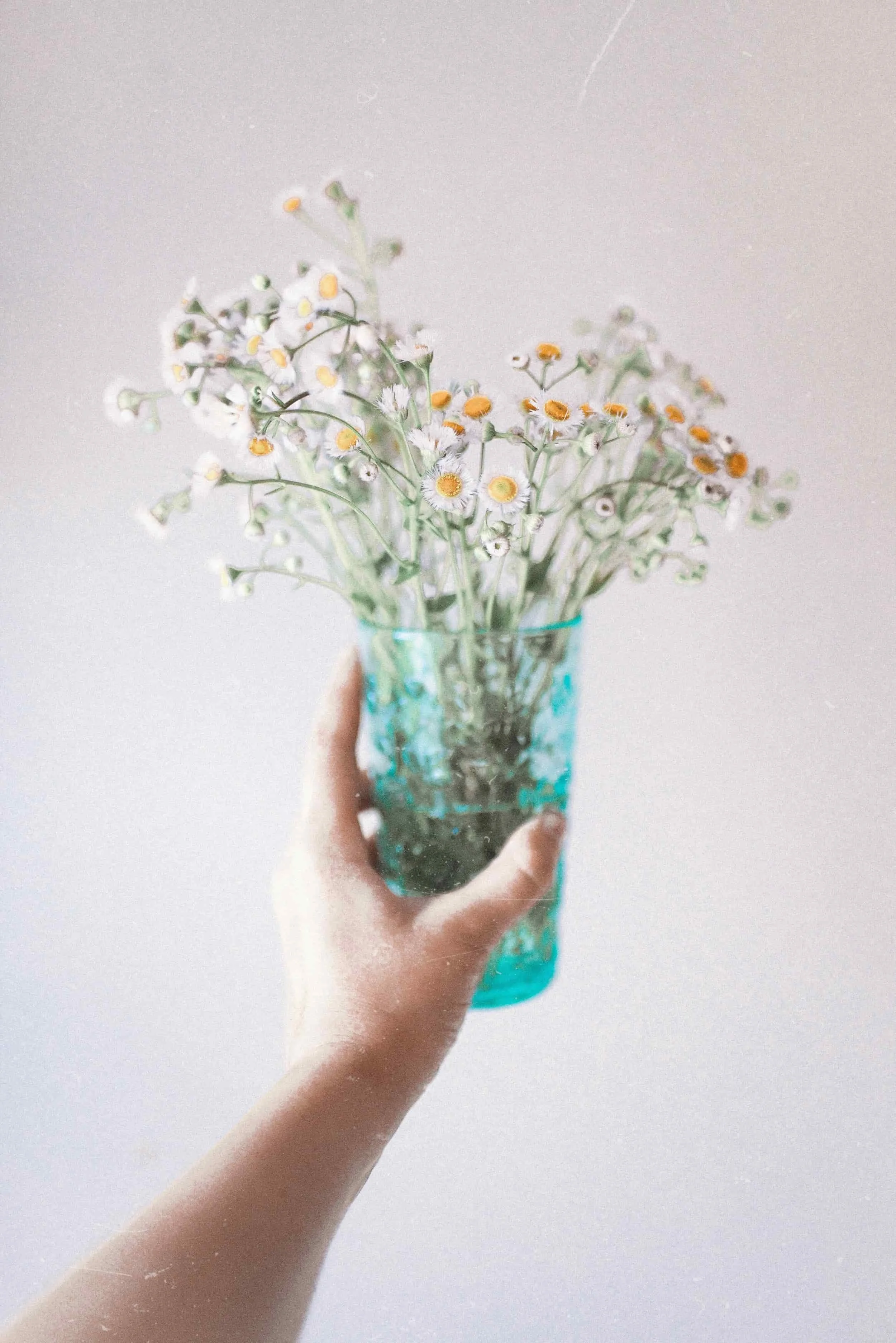 A hand holding a blue glass vase with daisies against a plain background.