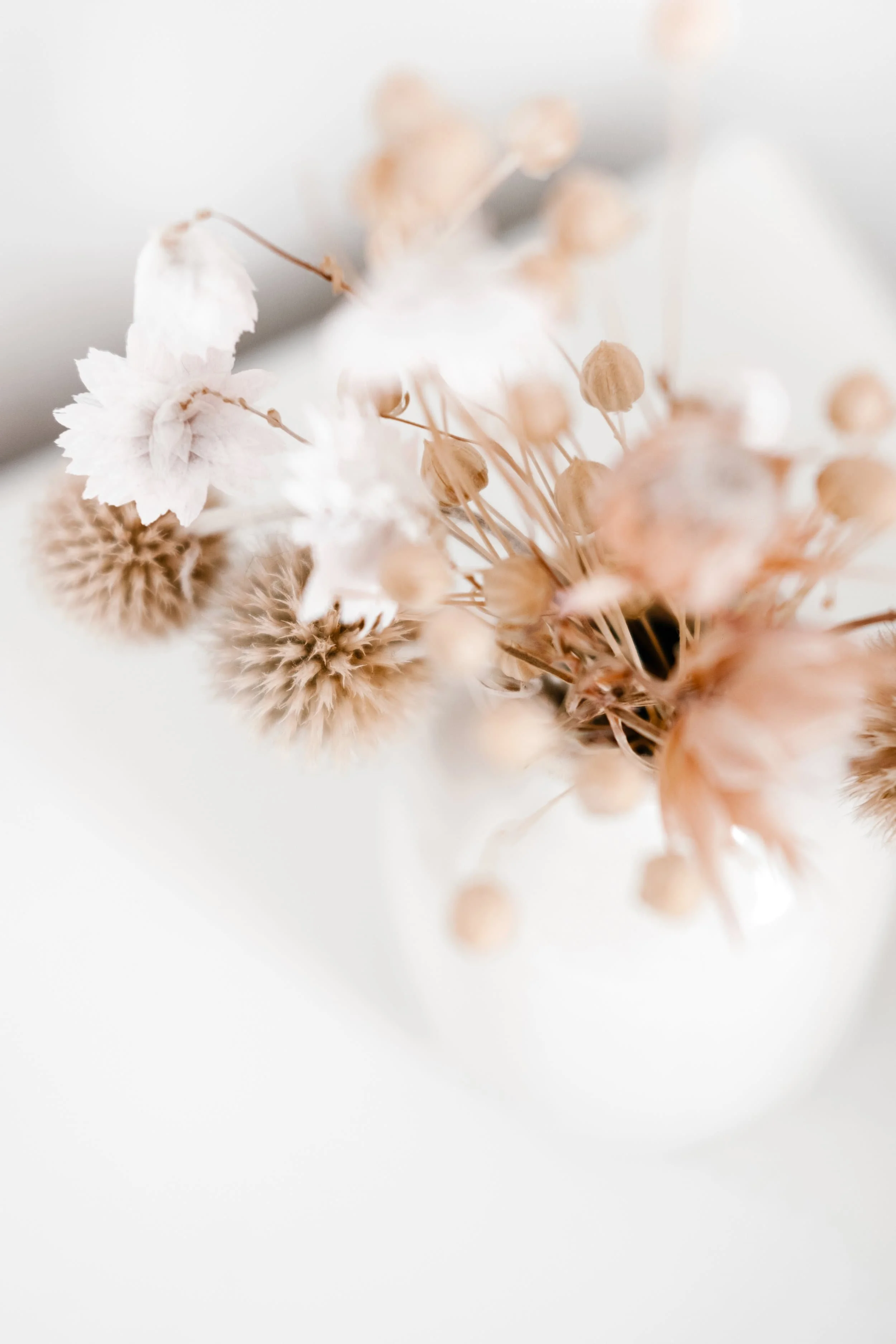 Close-up of a dried flower arrangement with white, brown, and beige tones.