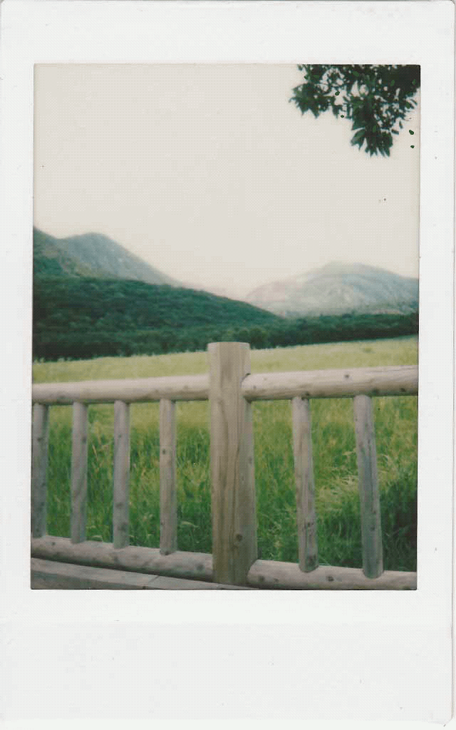 No one took this photo