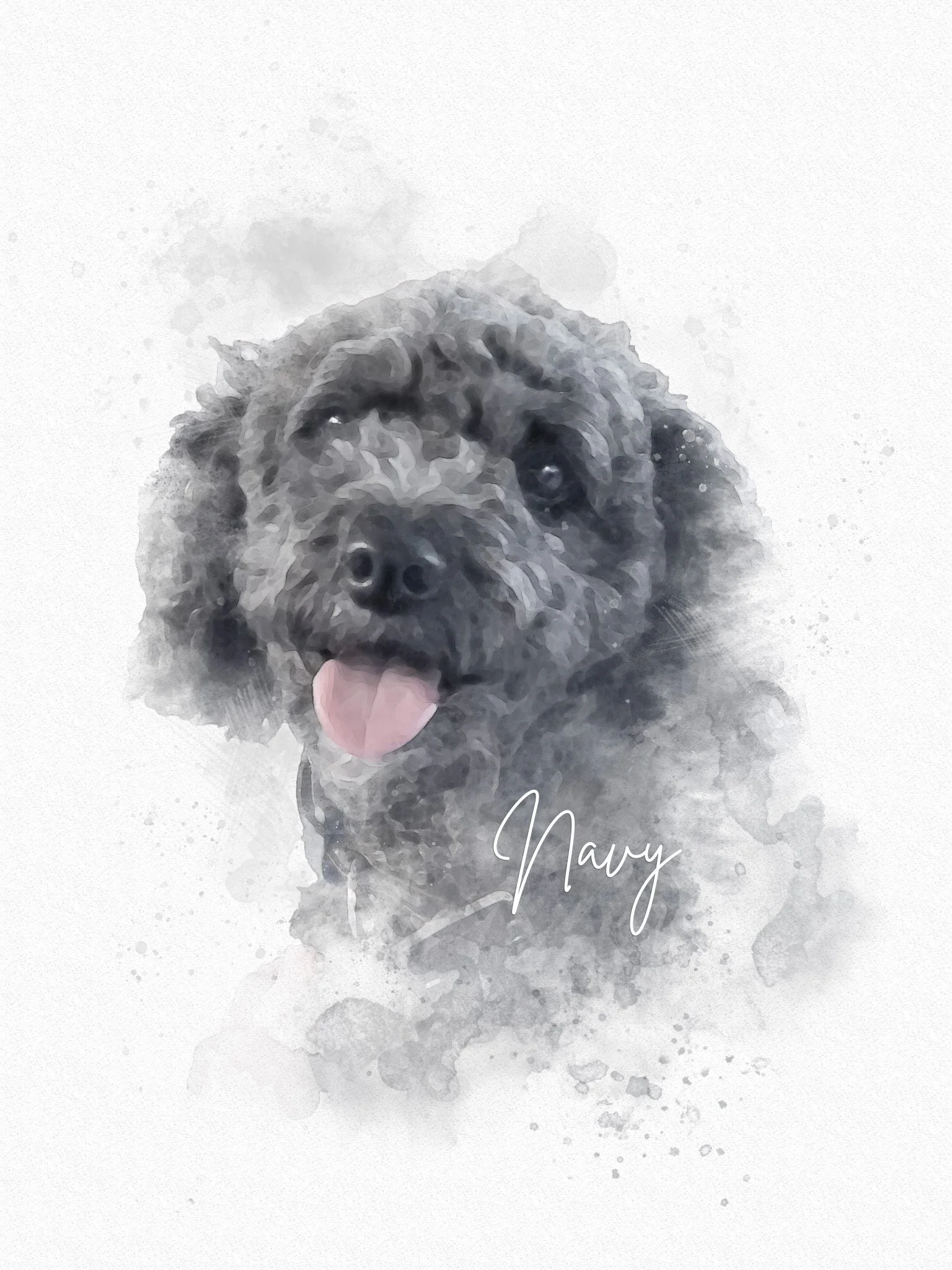 Navy - a pretty awesome little pup!