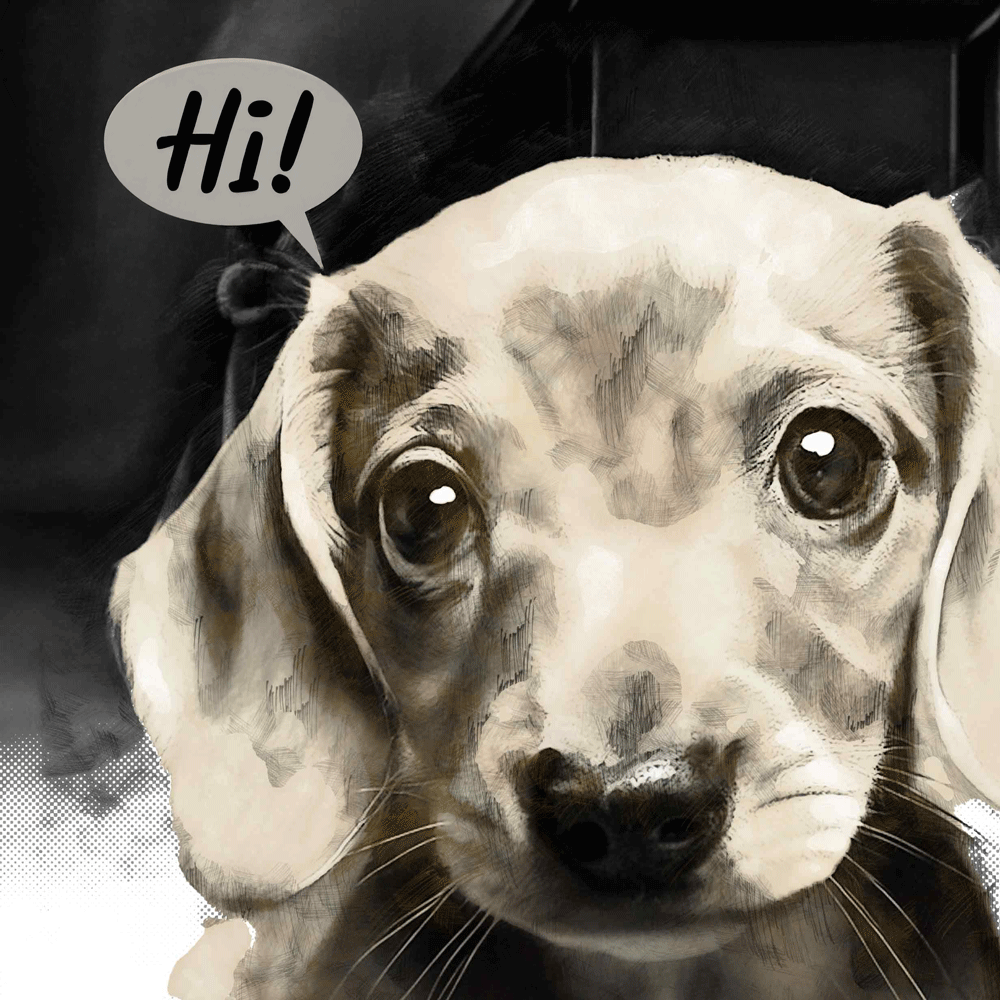 Dasxhund puppy with "Hi" speech bubble