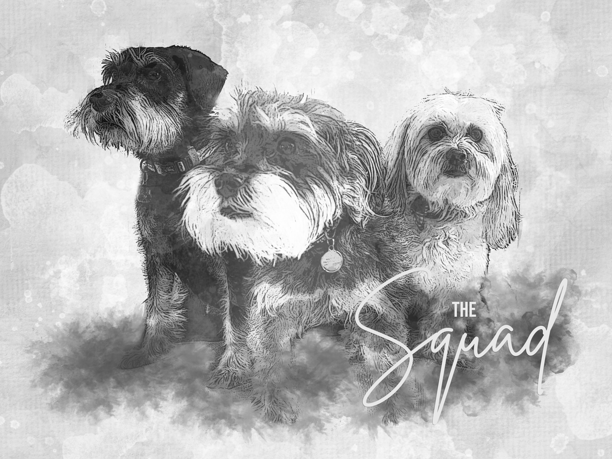 Three dogs of different breeds standing together, with the text "The Squad" written in a stylized font over the image.