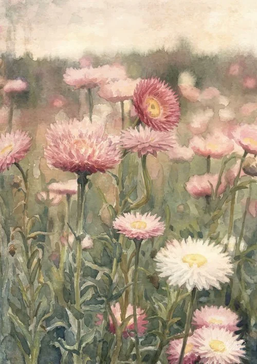 Wild-Flower-Close-Up.jpg