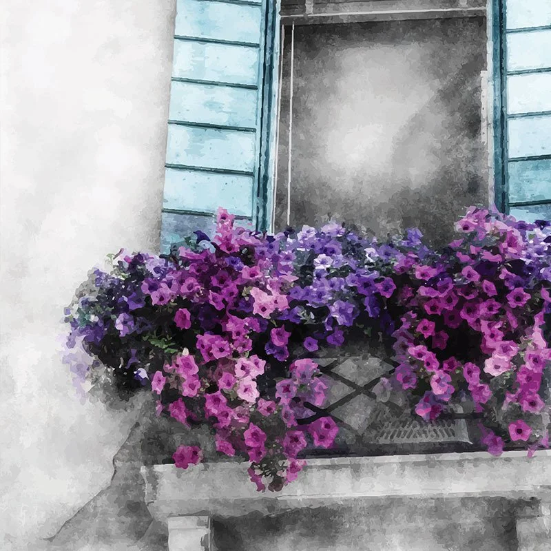 Venice Window