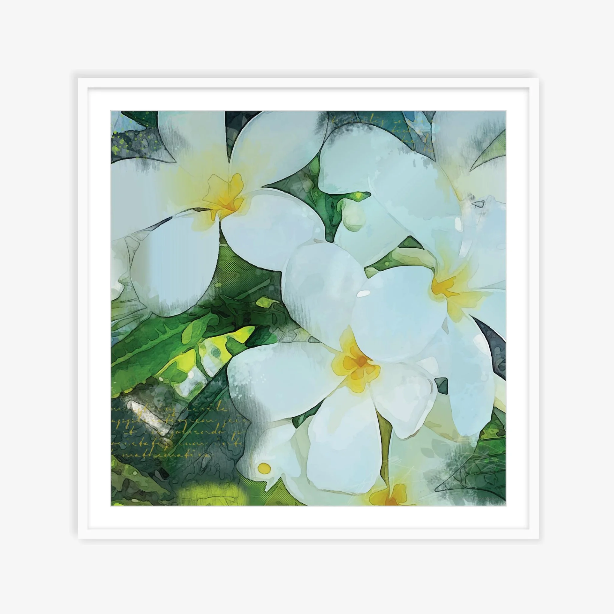 Frangipani Morning wall art print hanging on a white wall