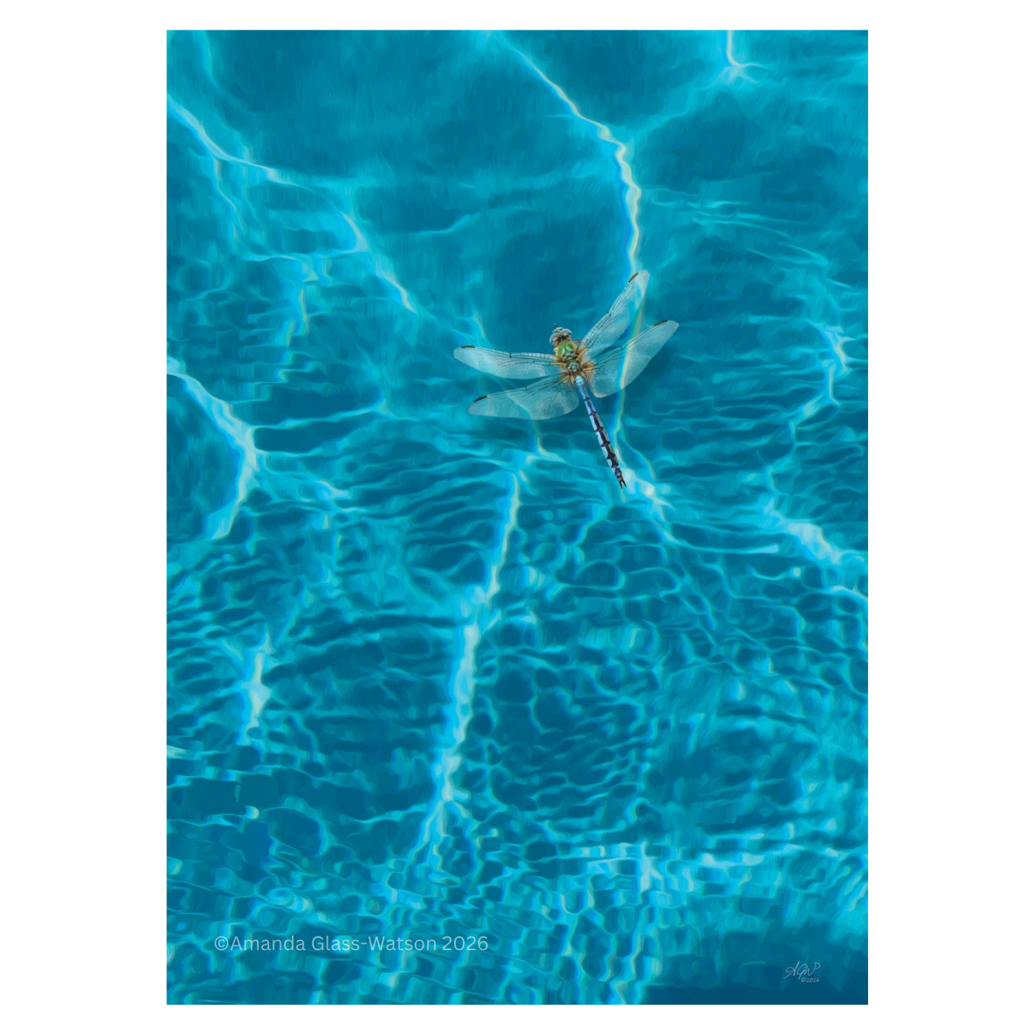 Dragonfly wall art print of a digital painting of a dragonfly hovering over clear blue water.