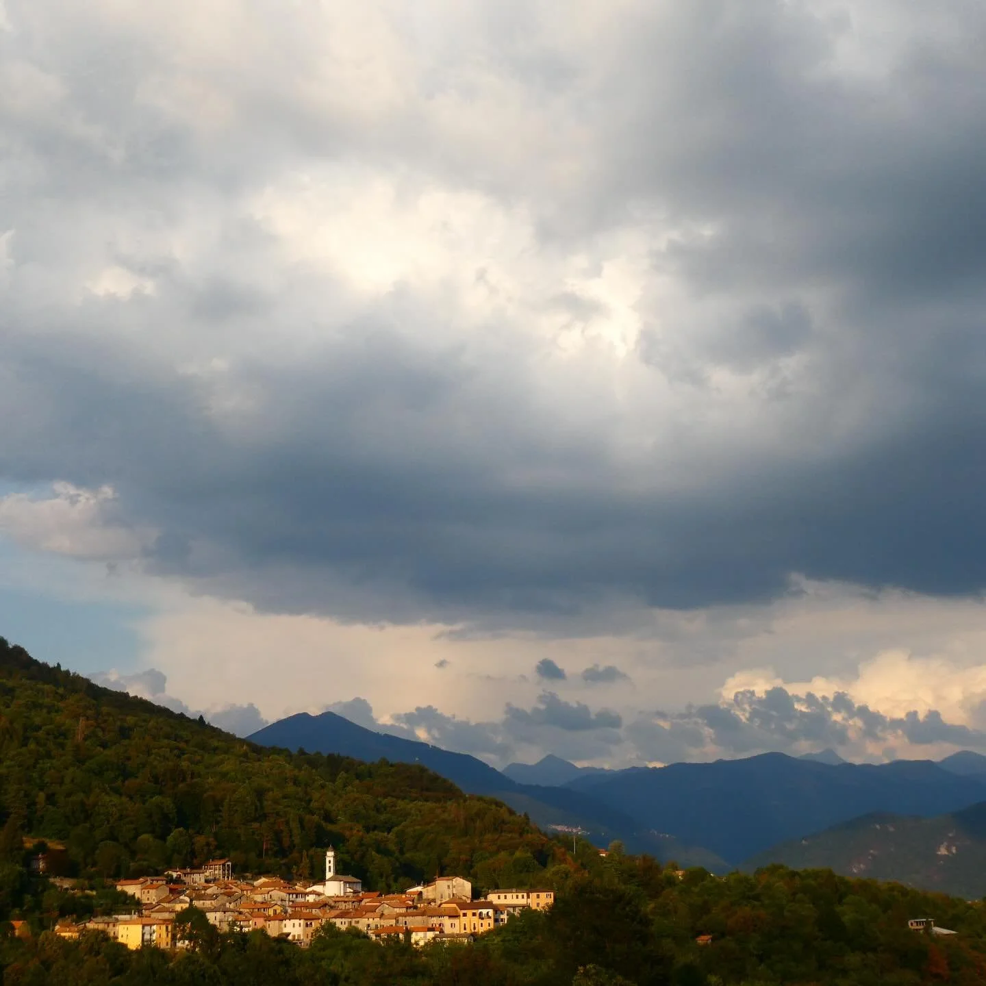 Clothing, paintings &amp; prints 📽️