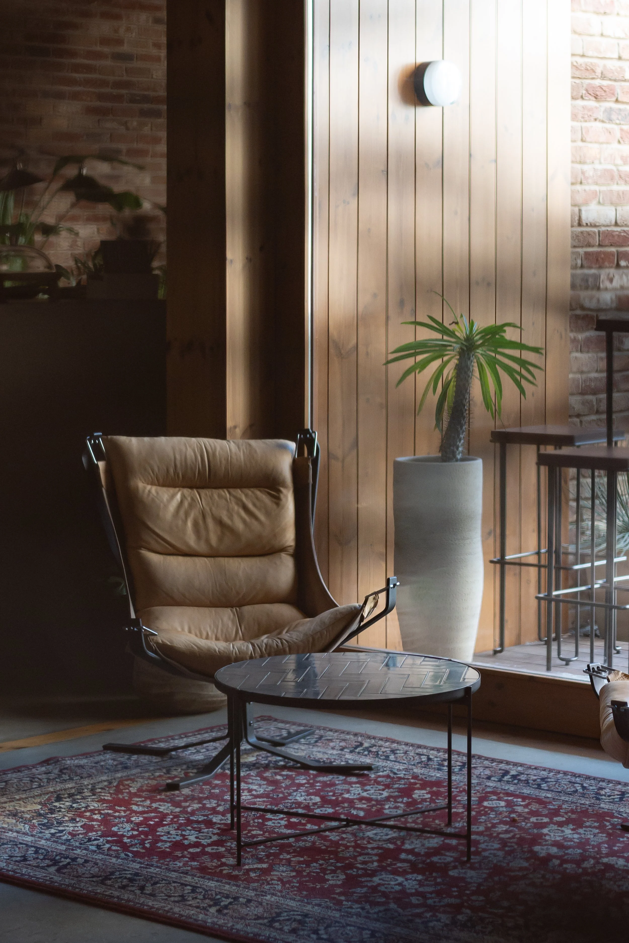 Eté Indien, Porto 2022_8485.jpg