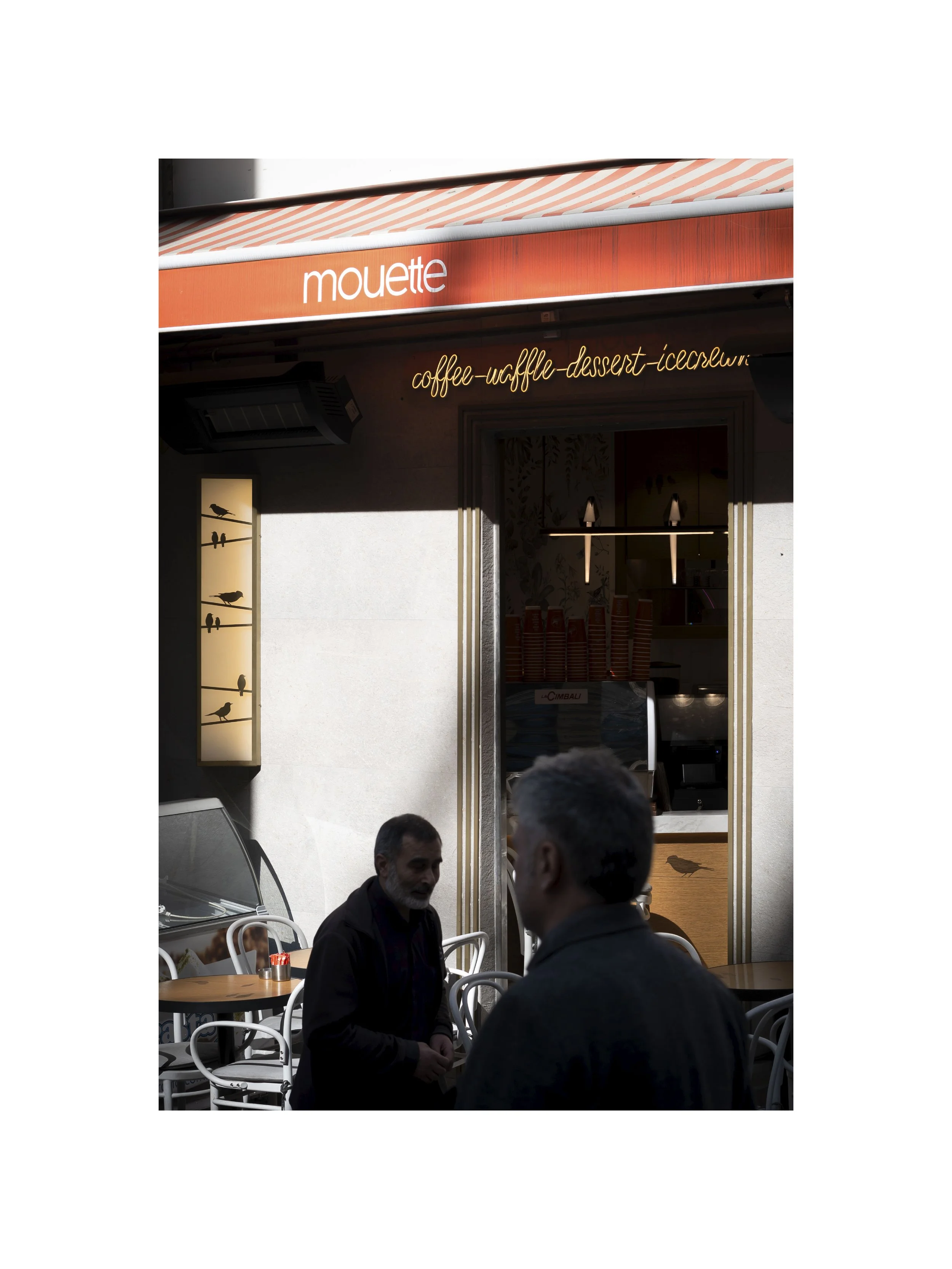 Mouette, 2023_1858-passepartout.jpg