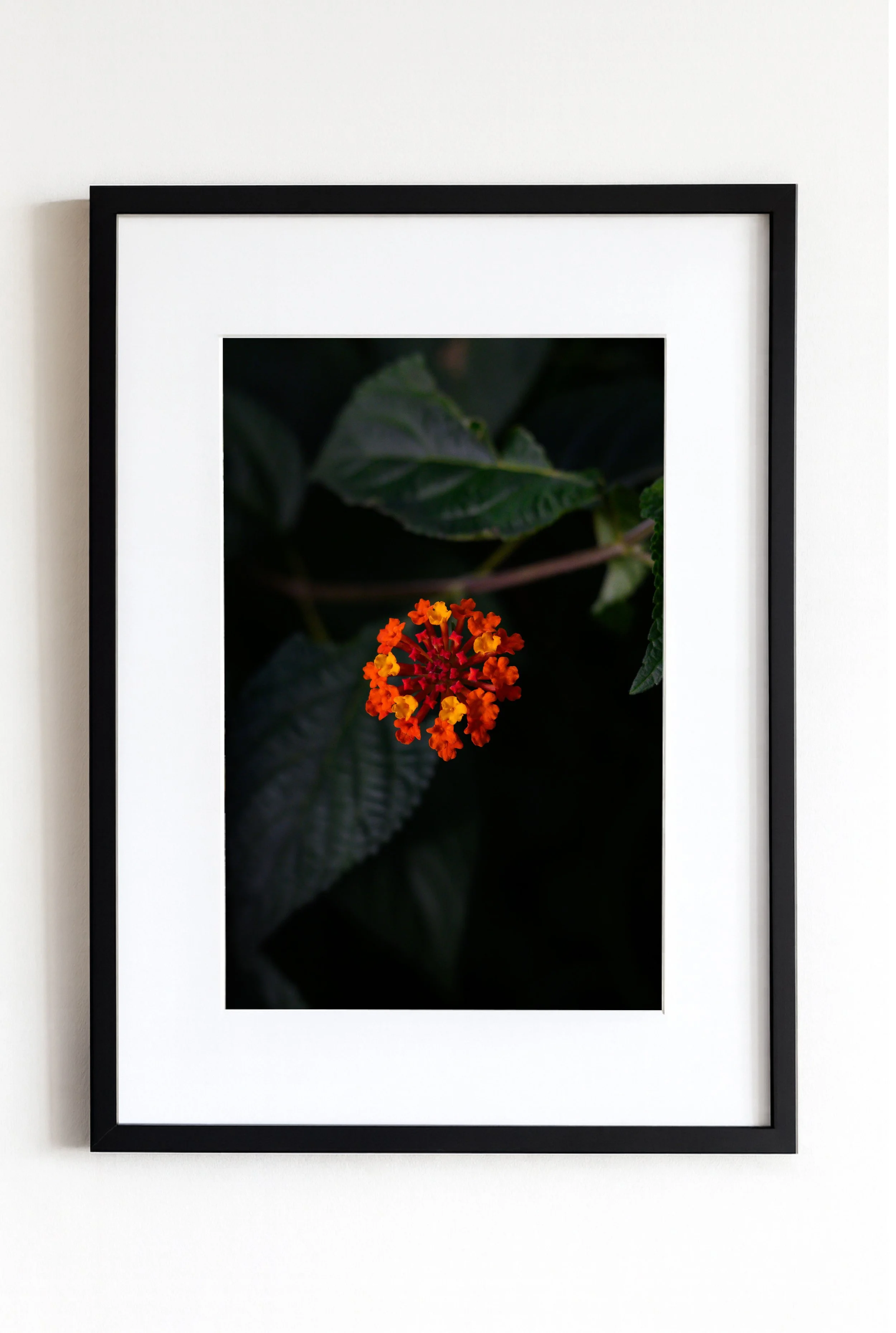 Cadre et Tirage Photo - Jerico, 2025