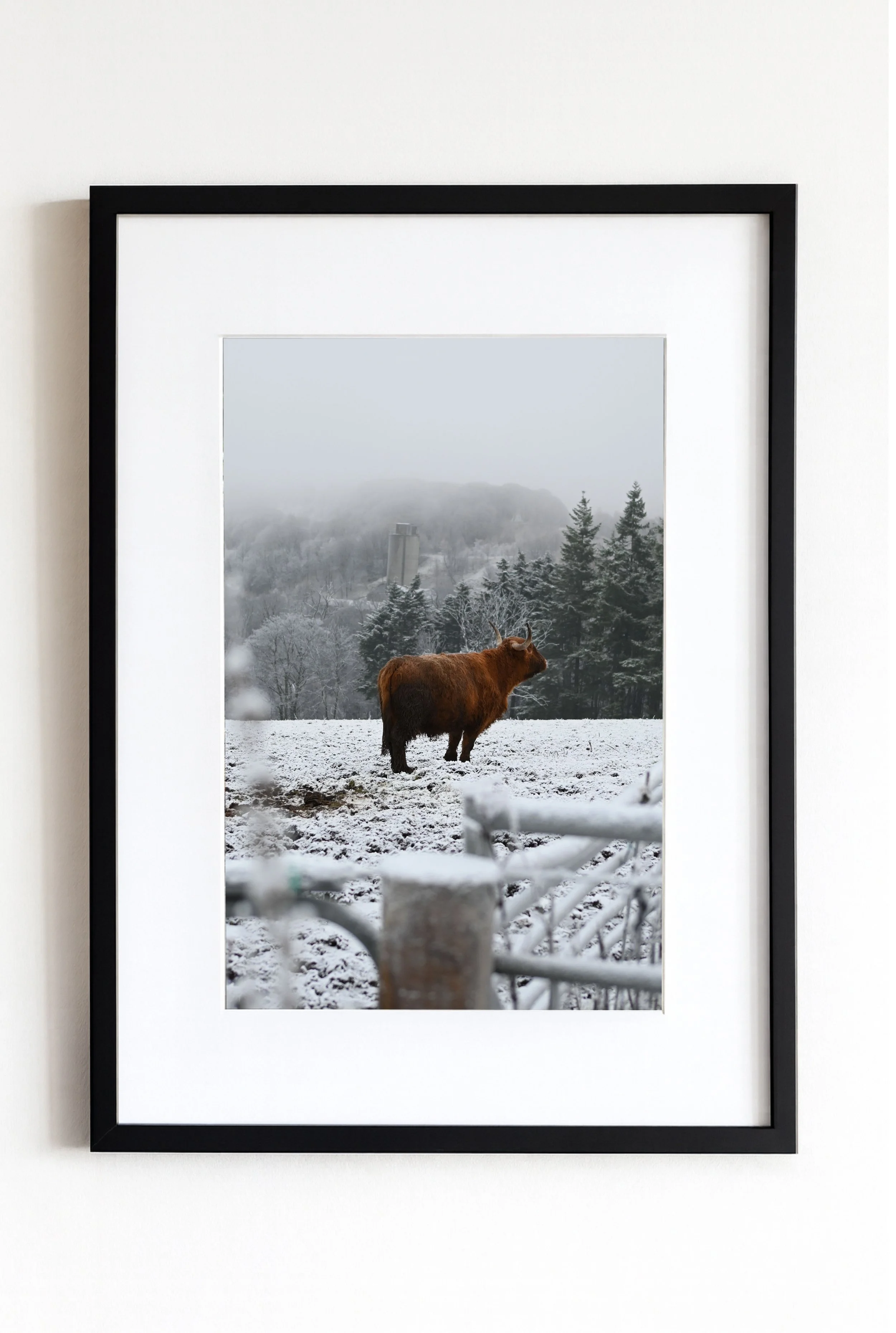 Prémices d'un renouveau_7617-Cadre Blanc-09.jpg