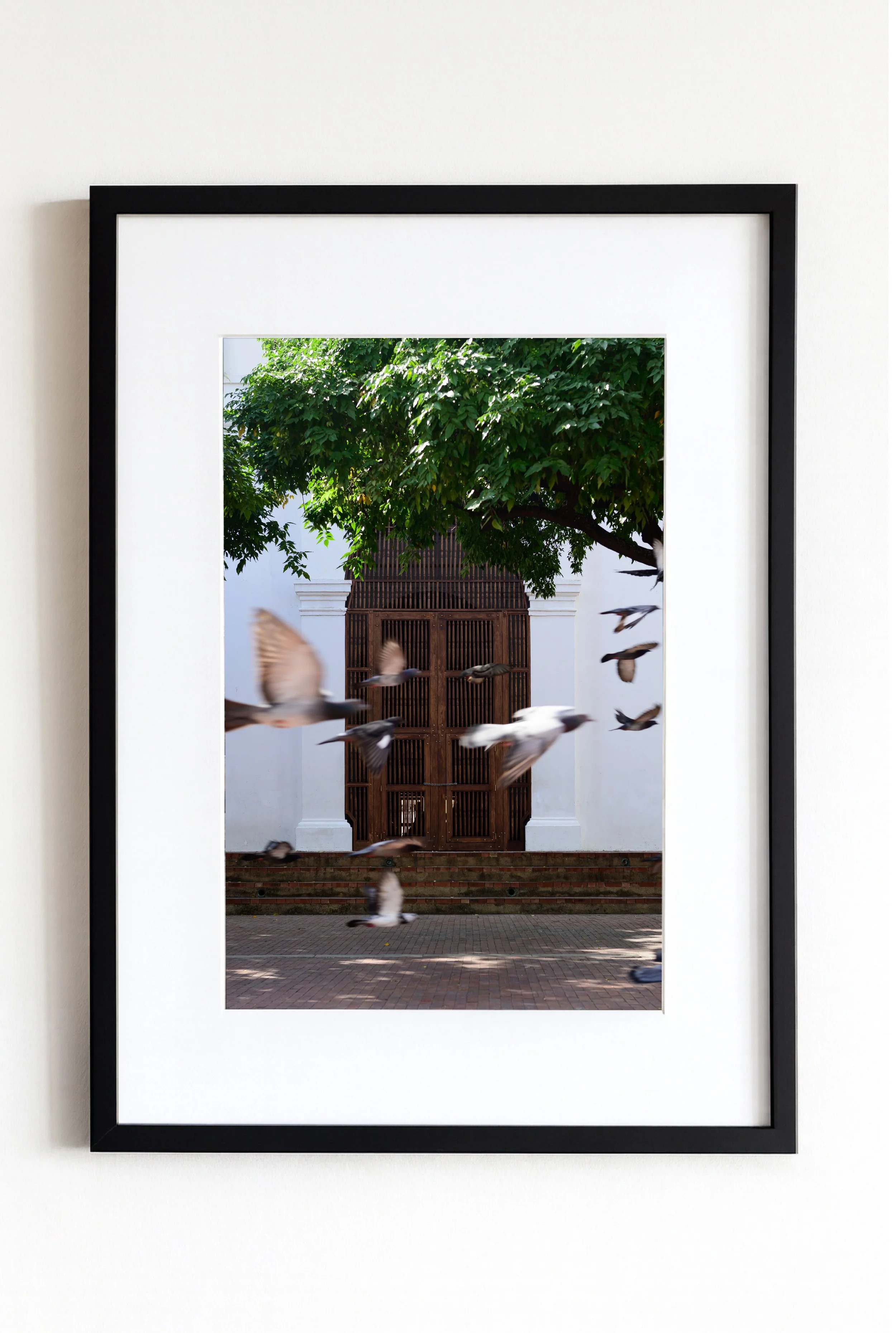 Cadre et Tirage Photo - Santa Marta, 2024