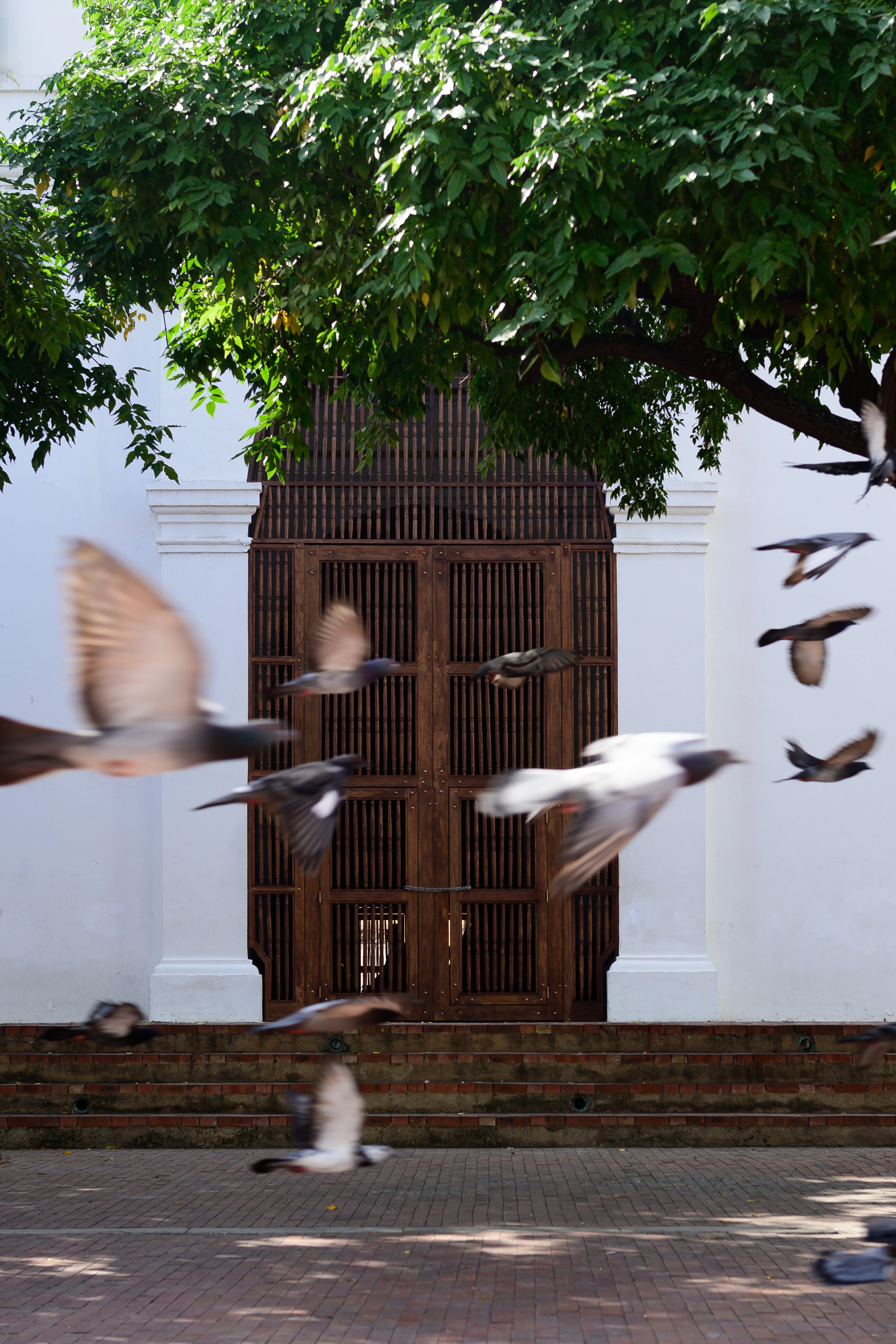 Santa Marta, 2024_0495.jpg