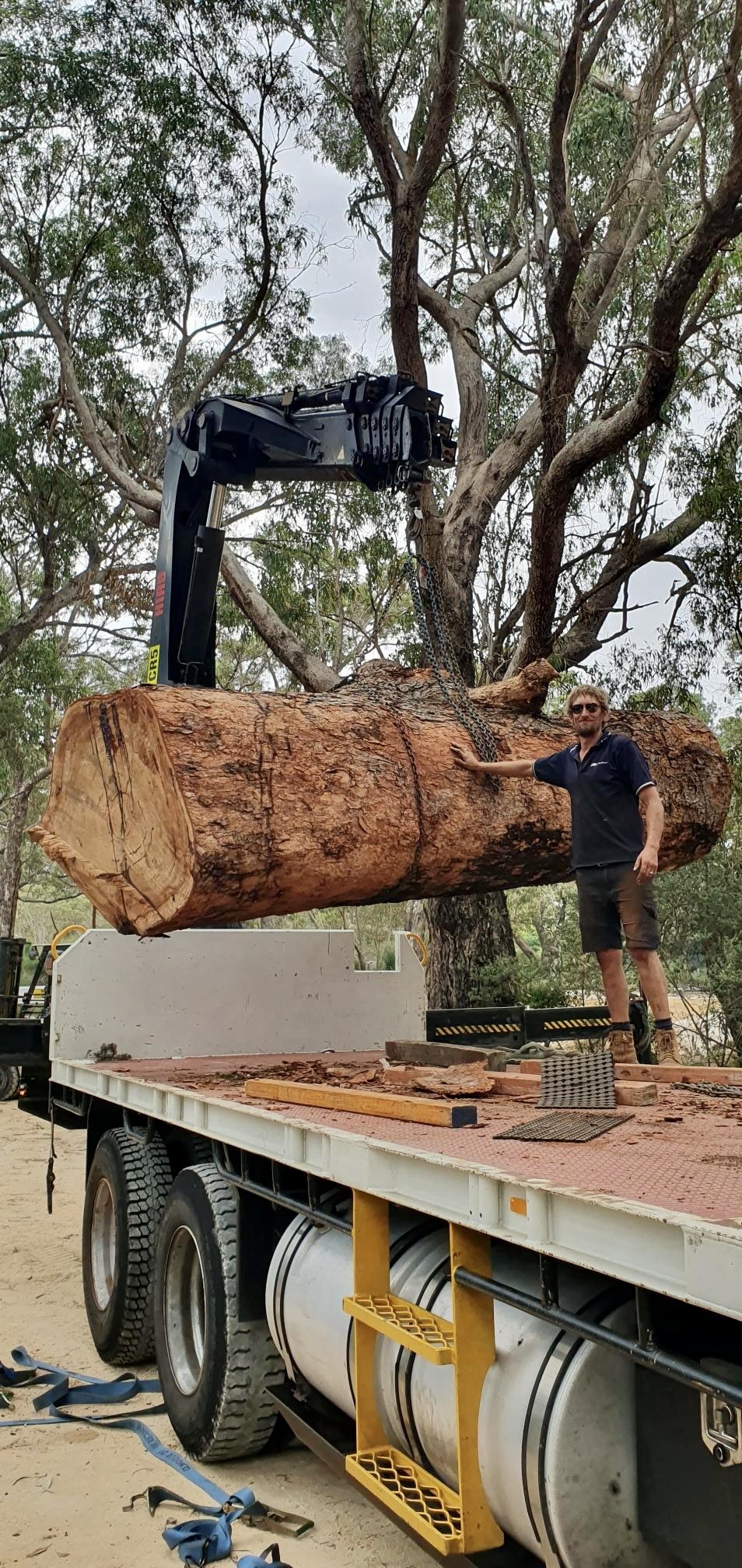 Ugly Duckling collecting sustainable wood, a man standing next to a large felled tree, which is being lifted by a crane attached to a flatbed truck in an outdoor setting with trees and cloudy sky in the background.