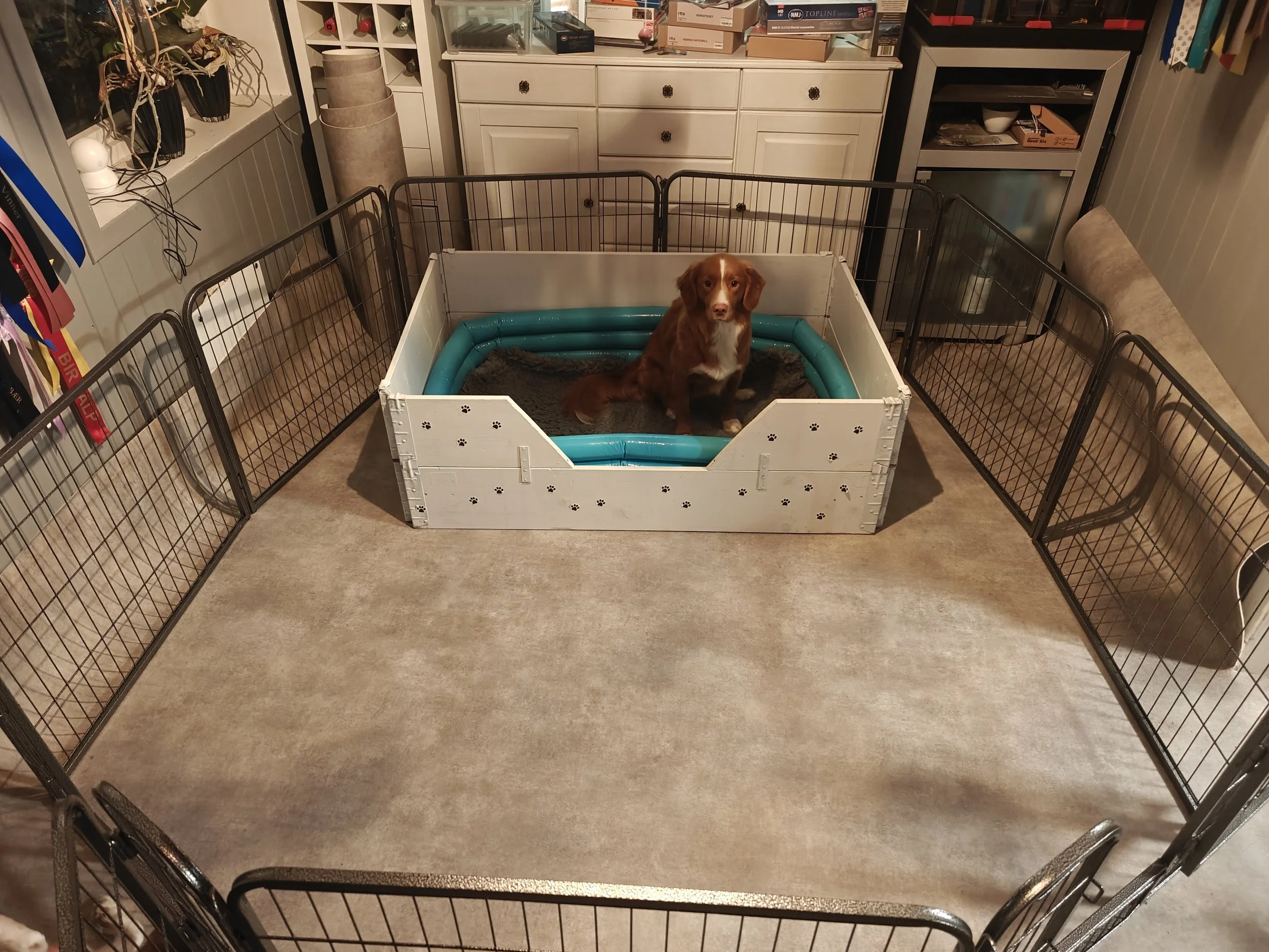 Valpekassen er klar!