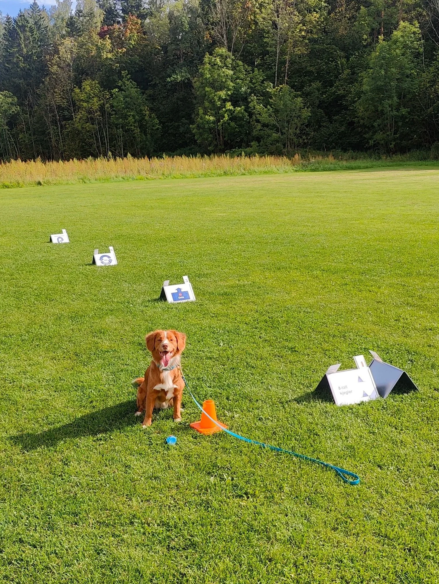 Nila sitter foran rally-skilt