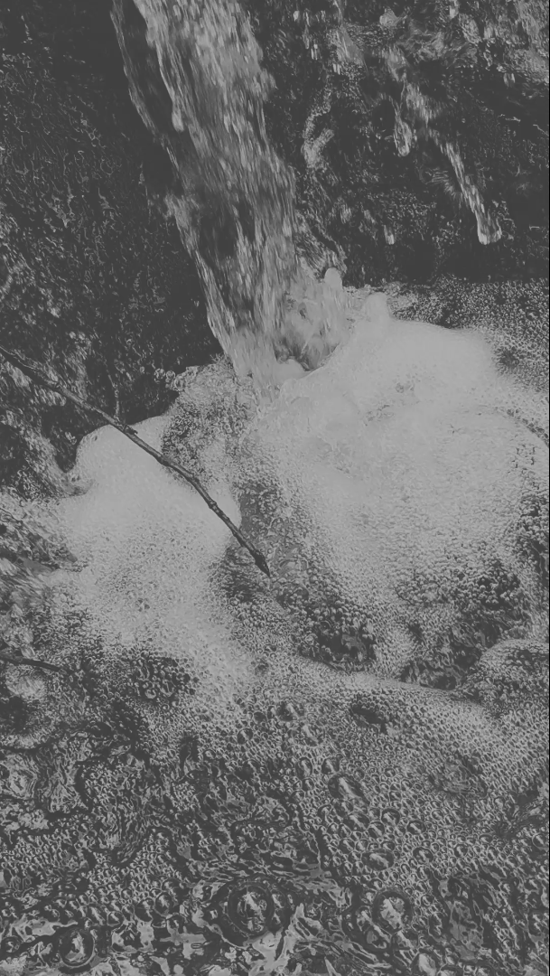 Listening Note 003