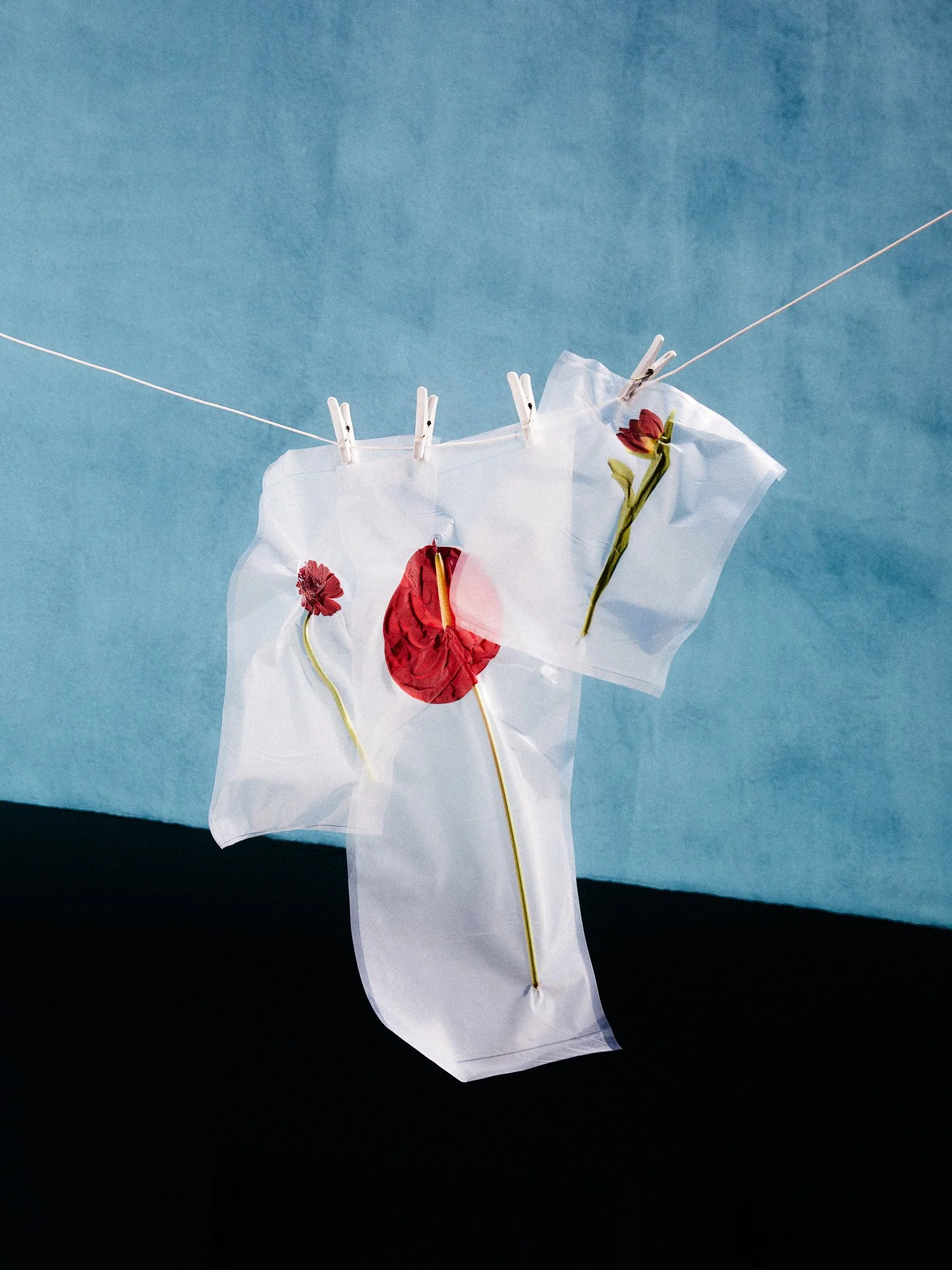 Translucent plastic sheets with red flowers and stems, hanging on a clothesline, against a blue background.