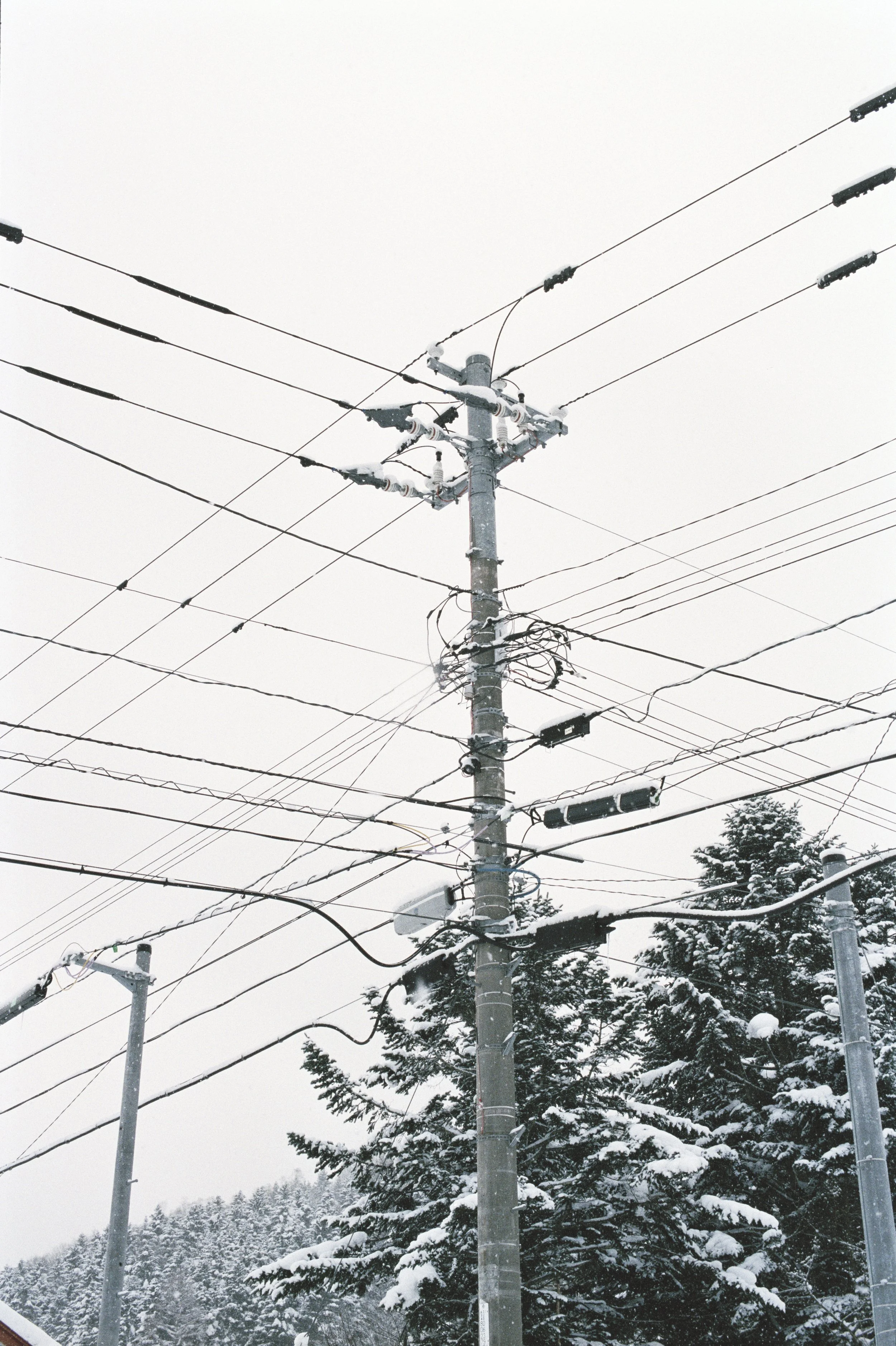 Snow-covered electrical utility pole with multiple power lines and wires, with snow-covered trees and overcast sky in the background.