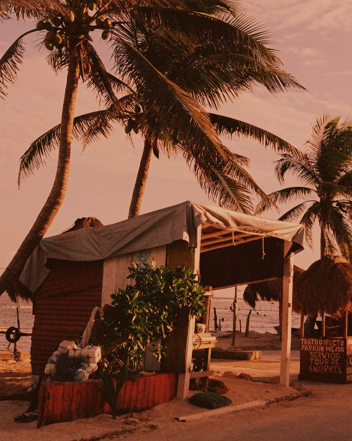 Beachside hut with a canopy, surrounded by palm trees at sunset, with the ocean in the background.