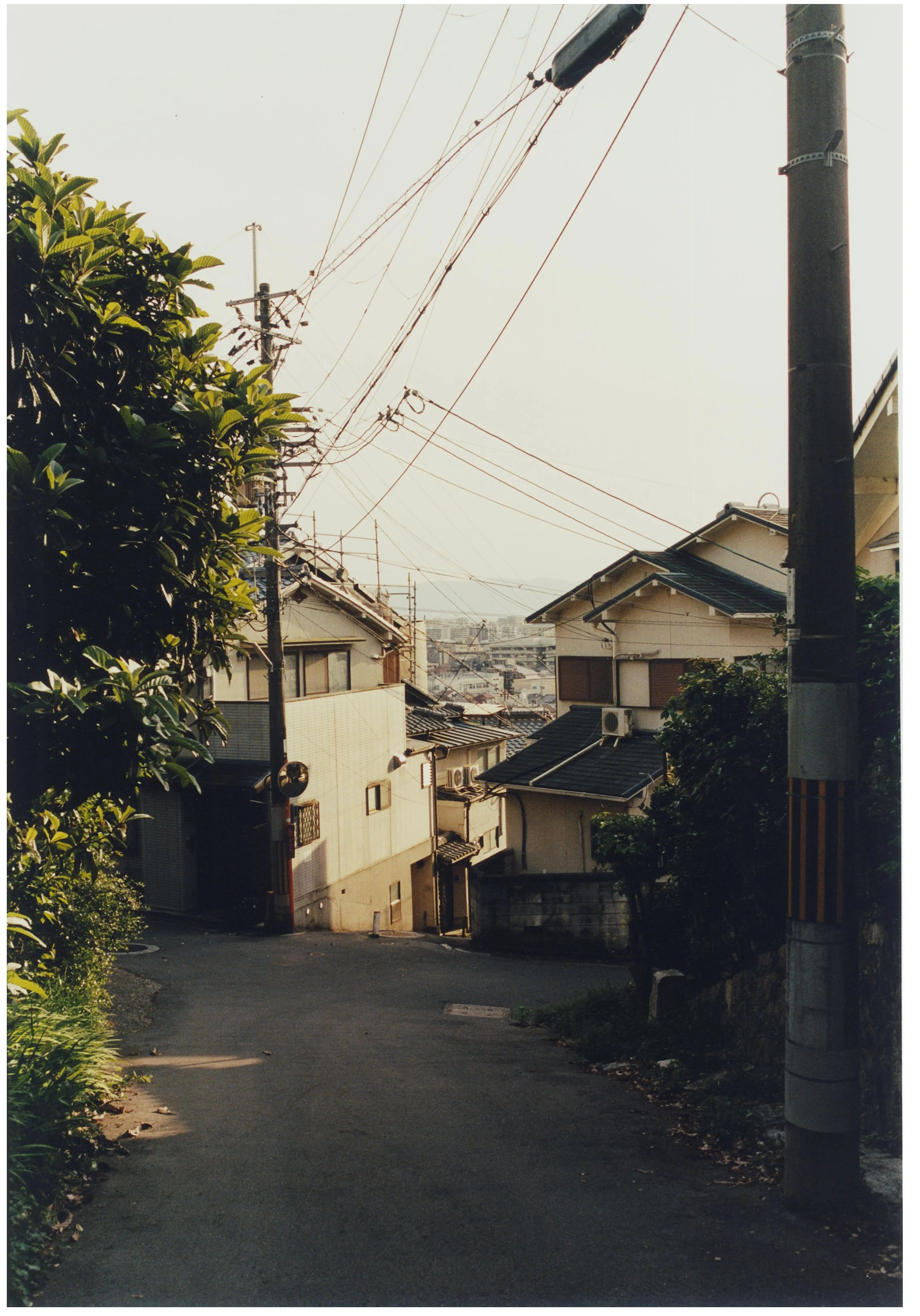 A narrow street in a residential neighborhood with houses and power lines overhead, surrounded by greenery and trees.