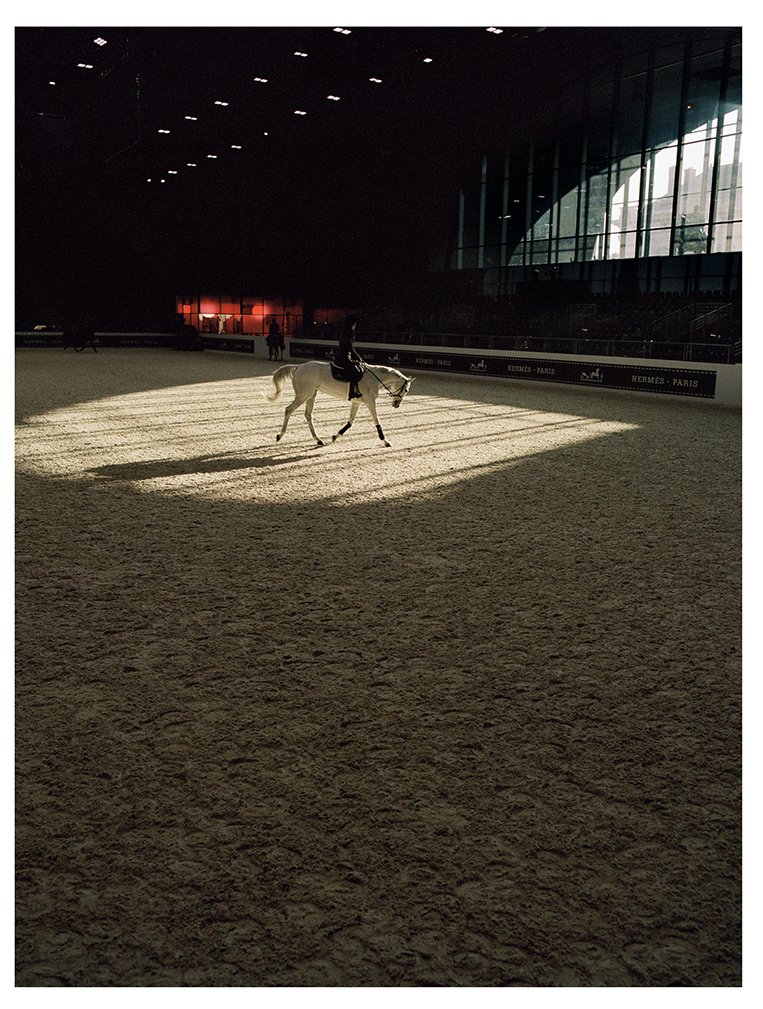 A person riding a white horse inside an indoor riding arena with sunlight casting shadows on the ground.