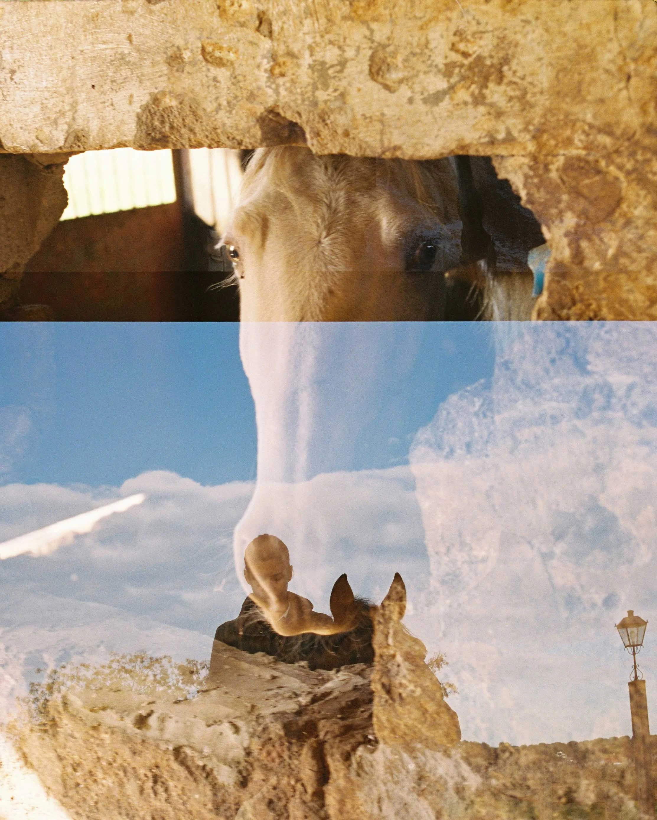 A layered photograph showing a horse peering through a stone wall, a person and a different horse, and a landscape with a person, horse, and streetlamp against a cloudy sky.