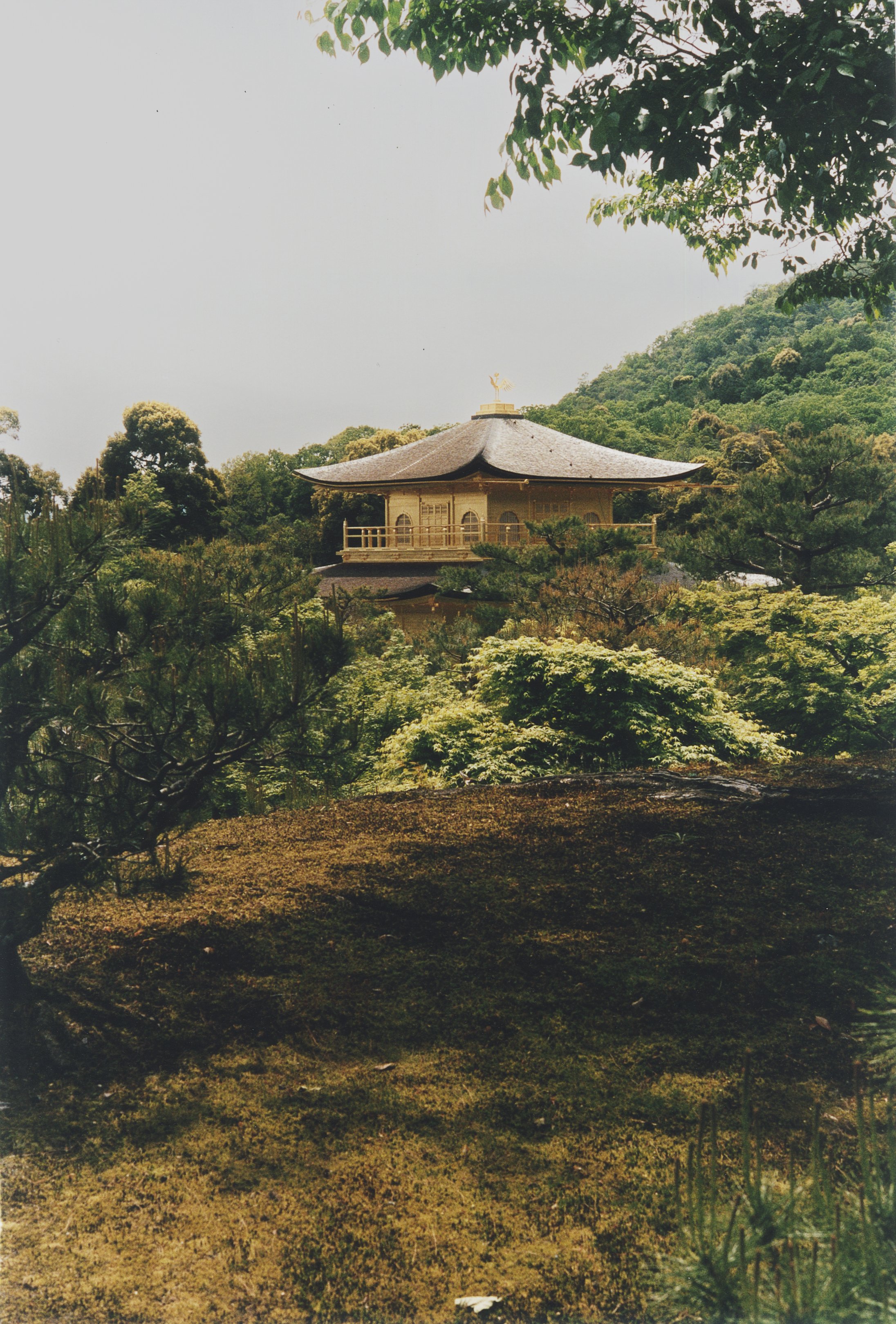 Traditional Japanese wooden building with curved roof, surrounded by lush green trees and hills.