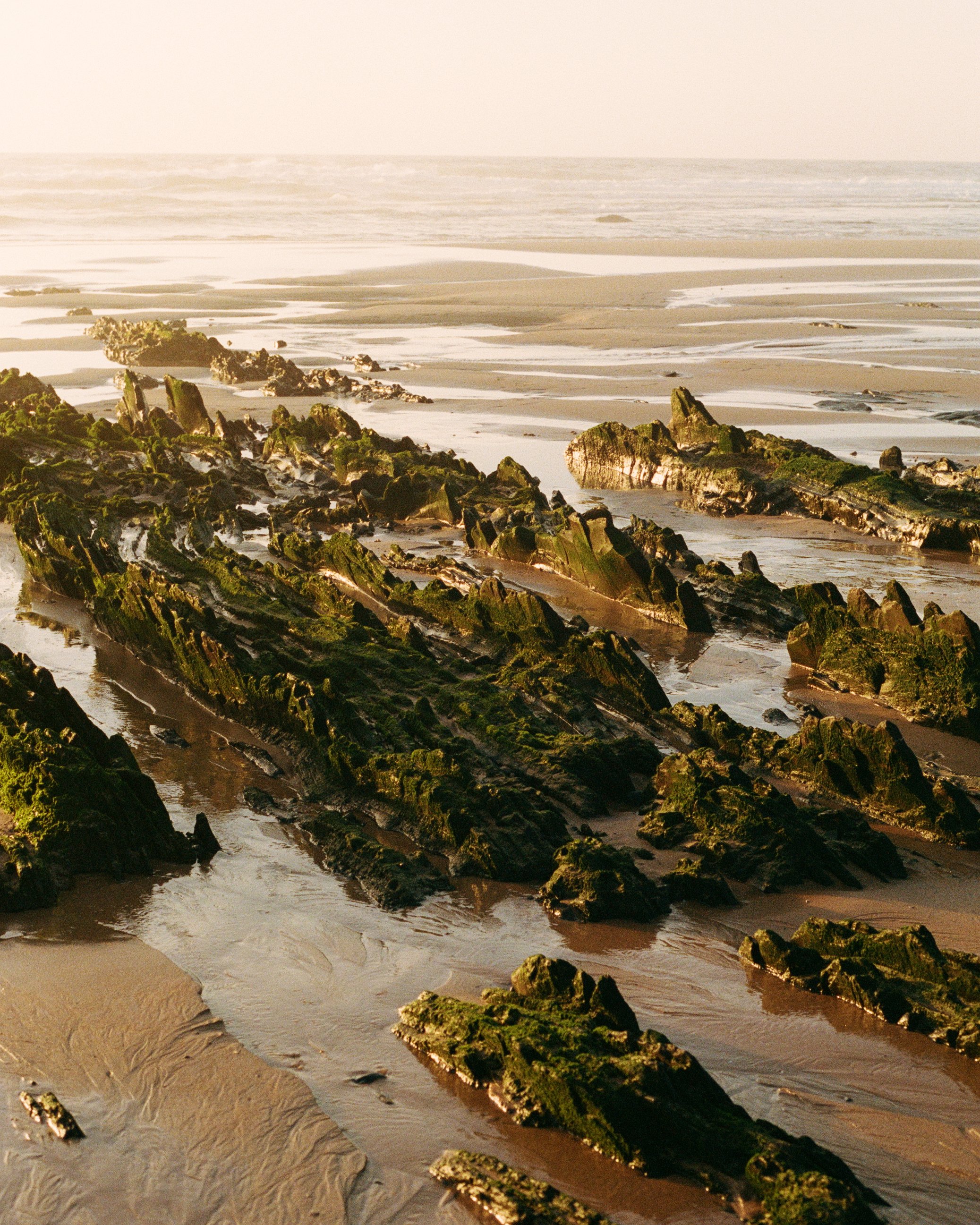 Rocks covered in green moss on a sandy beach with ocean waves and a cloudy sky in the background.