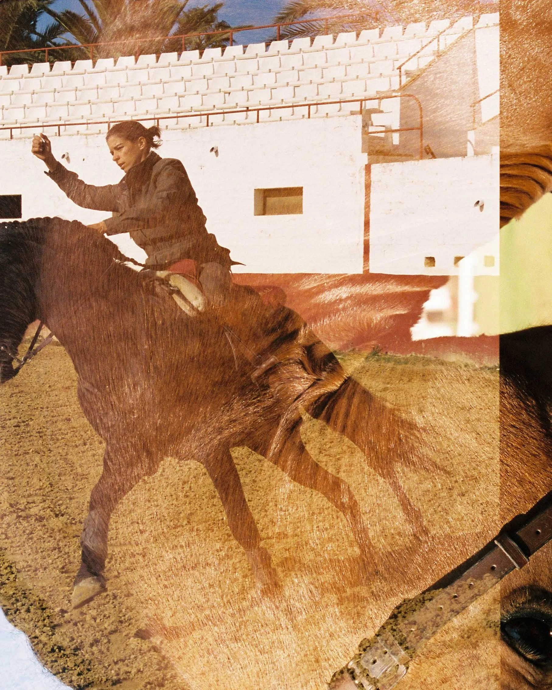 A person riding a horse in an outdoor arena, with white bleachers and palm trees in the background.