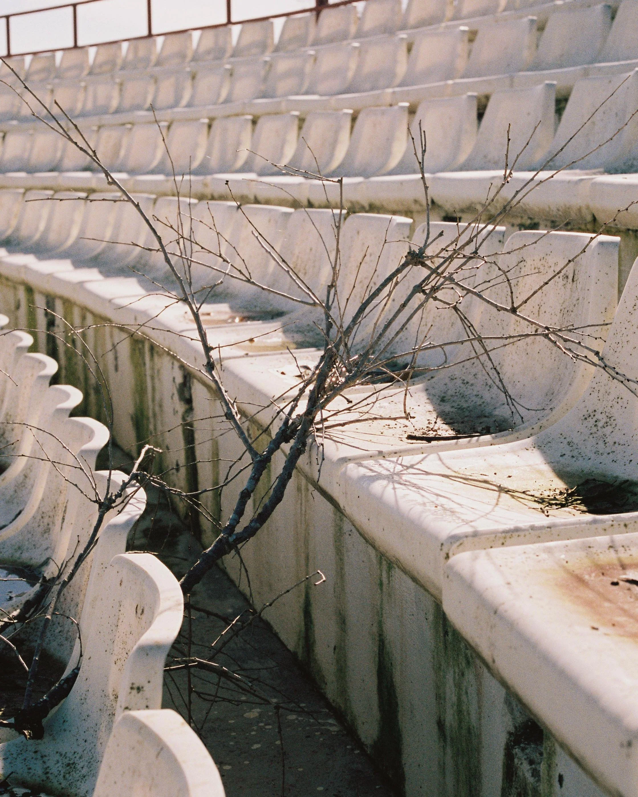 A bare tree branch lying across empty, weathered white stadium seats.