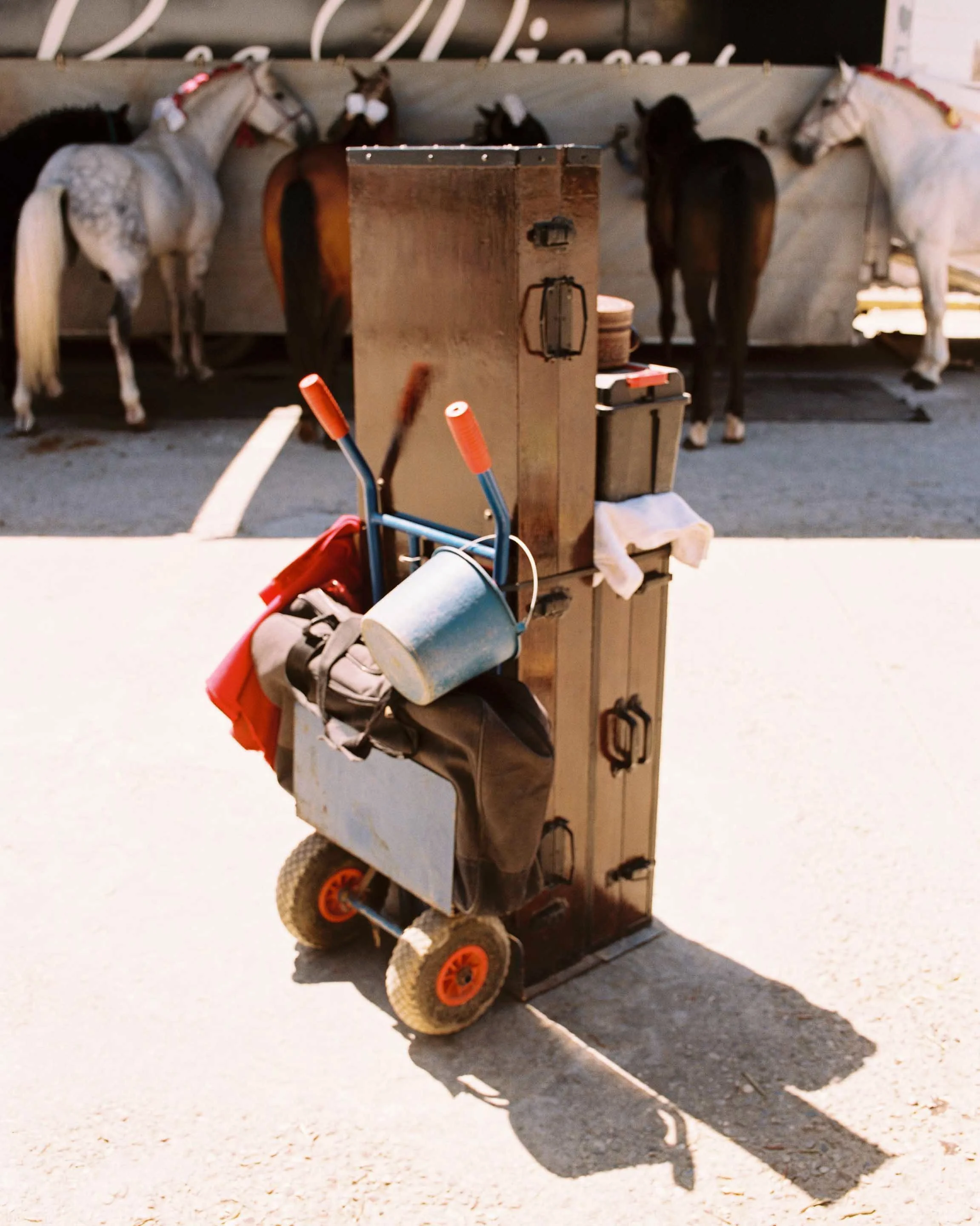 A metal locker with a cart attached, carrying various tools and supplies, in front of a background of horses tied to a wooden structure.