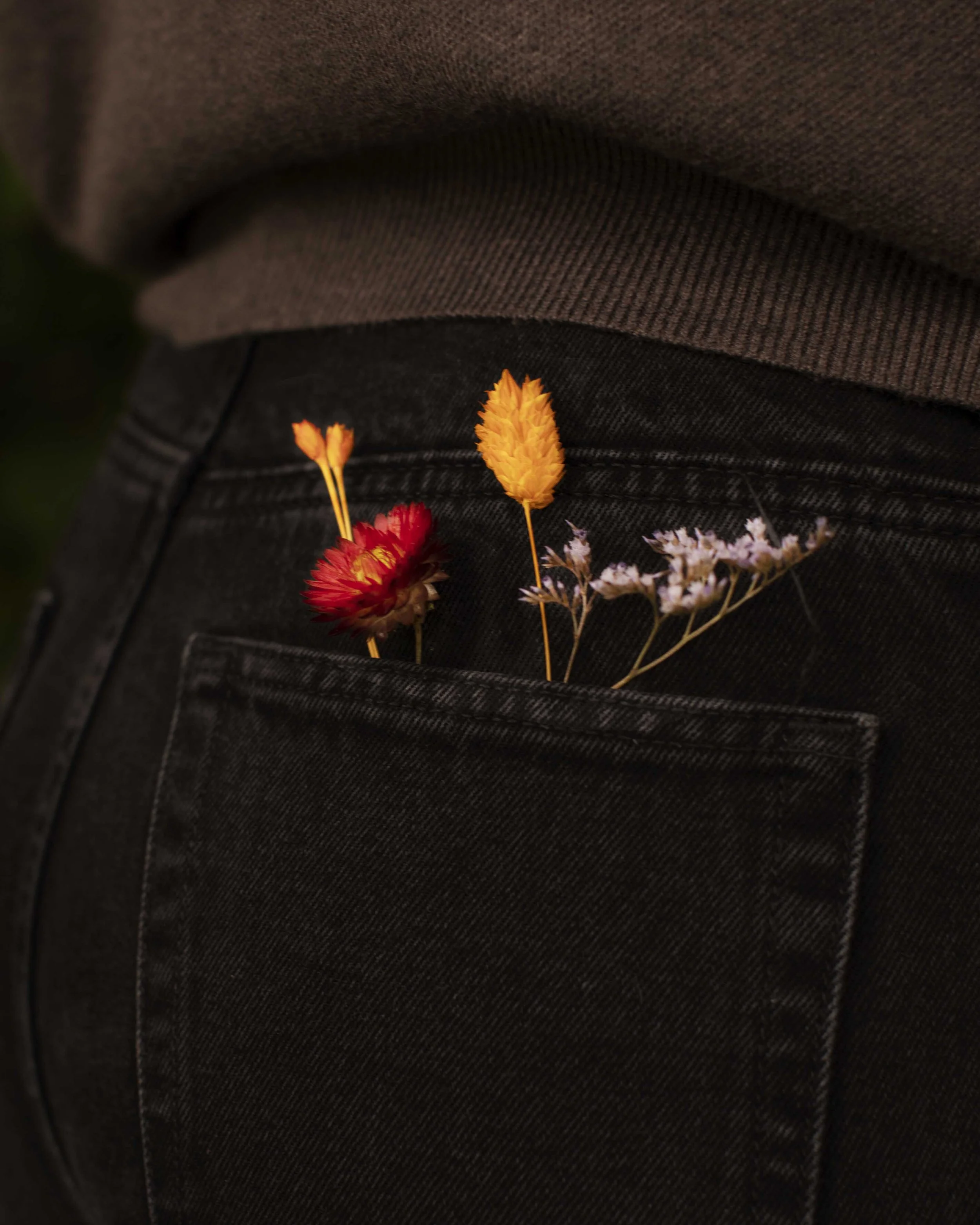 Flowers inside a person's back pocket over black jeans, with a brown shirt visible above.