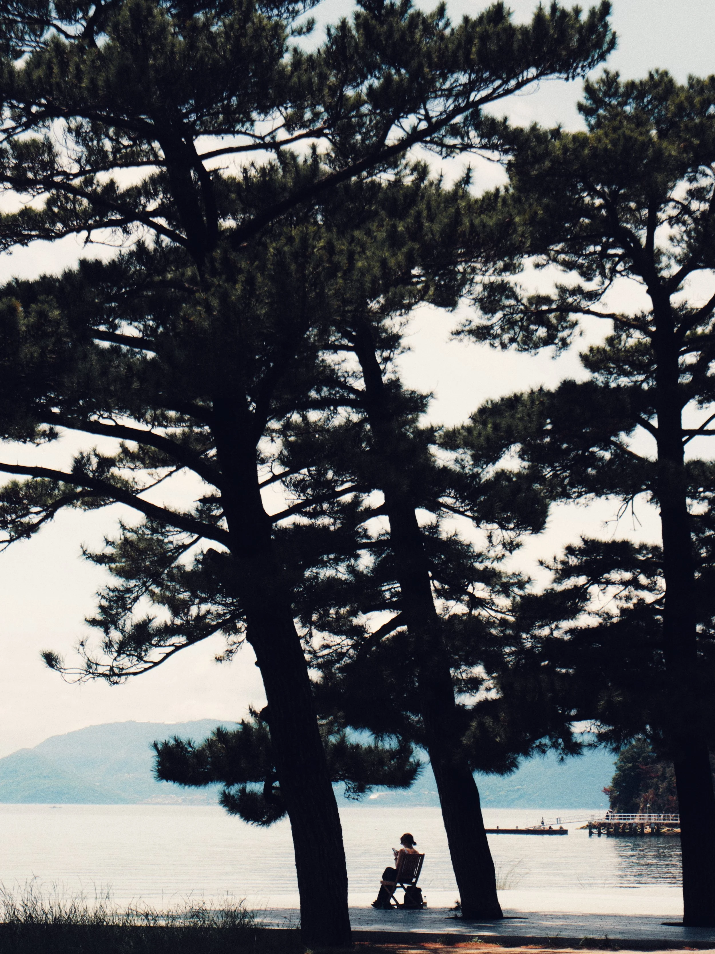 Person sitting on a wooden chair by a lake, shaded by large trees, with mountains and a dock visible in the background.