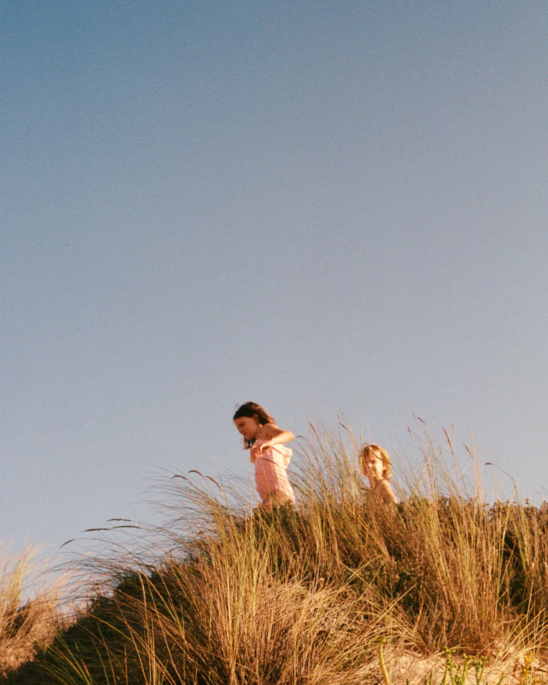 Two women walking through tall golden grass on a hill under a clear blue sky.