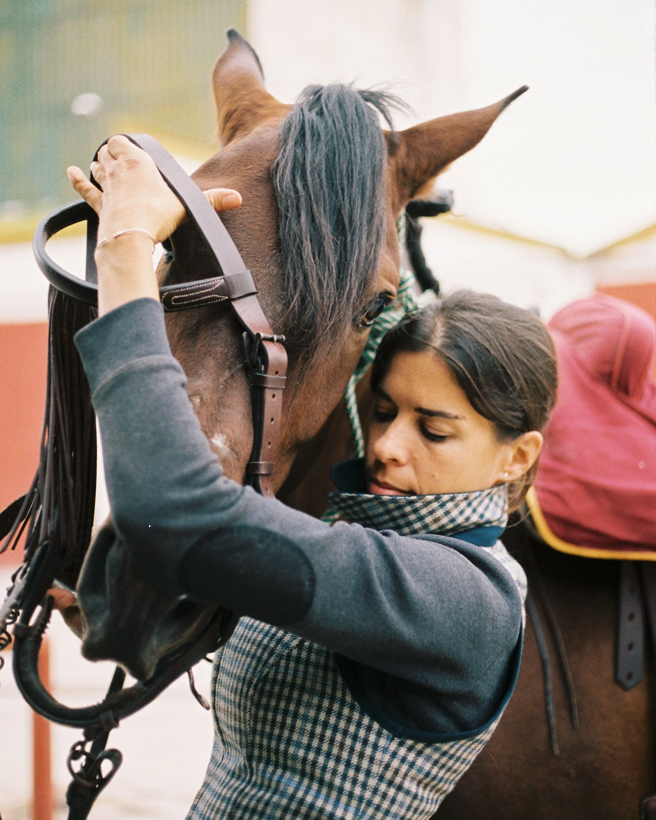 A woman hugging a brown horse with a dark mane in an indoor setting.